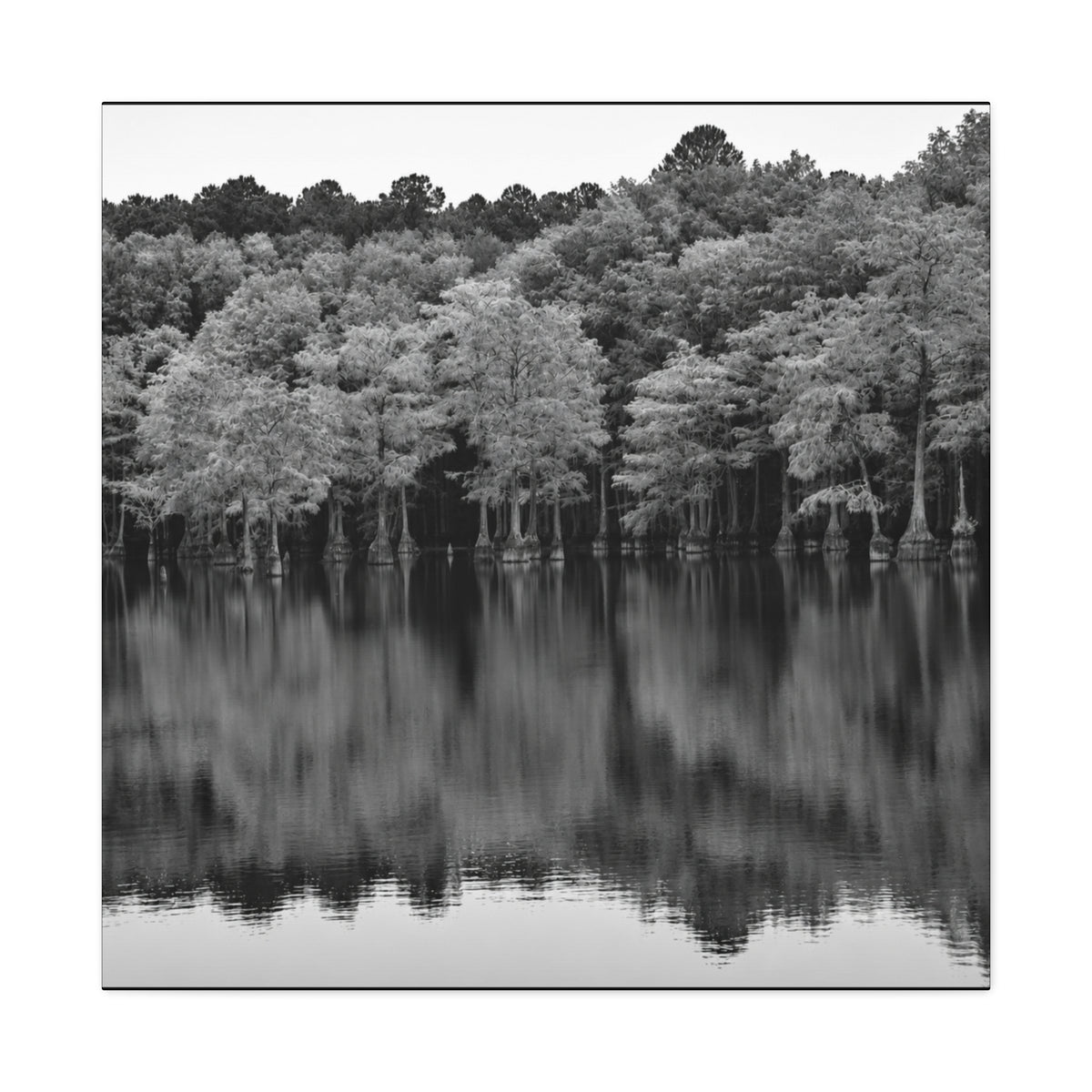 Marsh Reflection Canvas