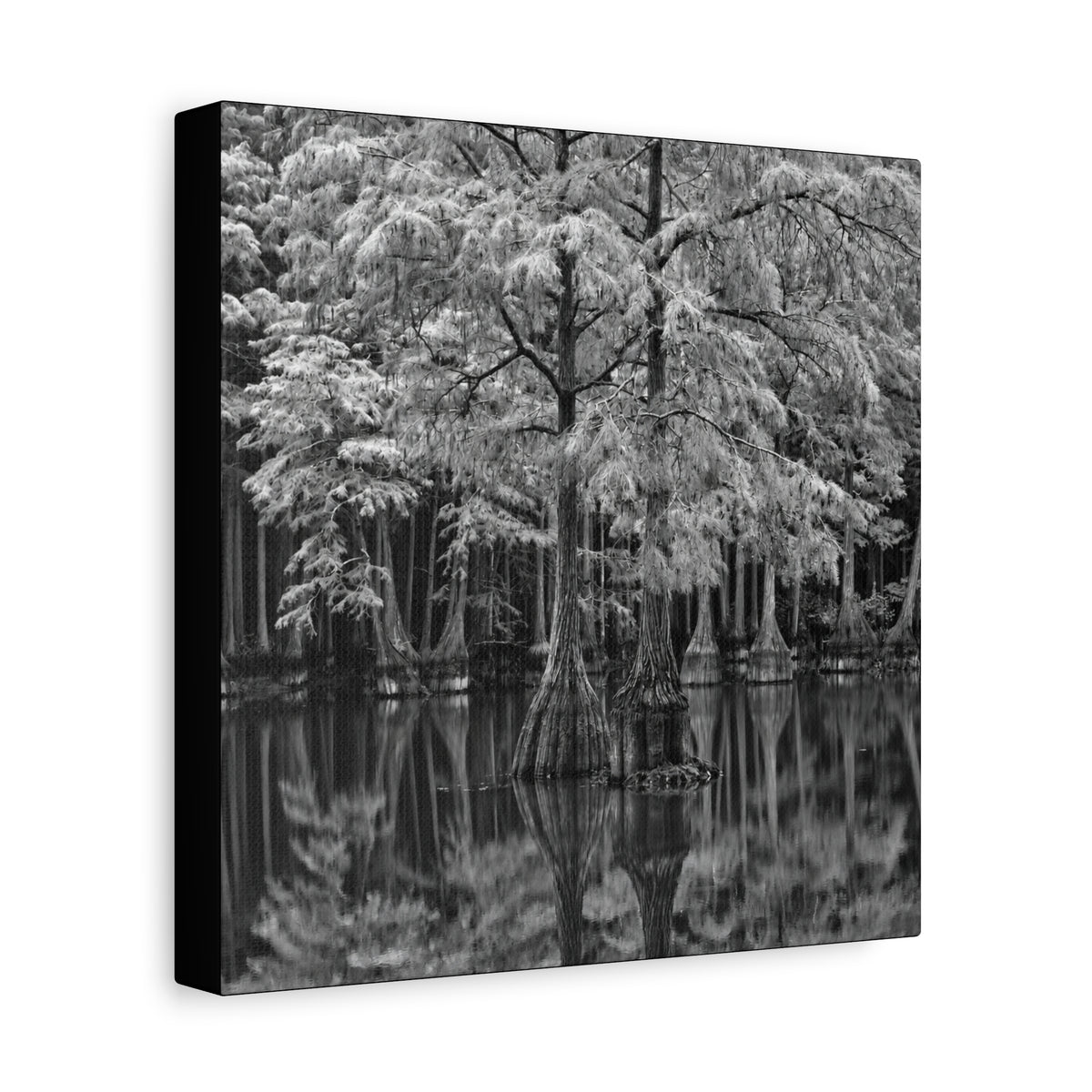 Marsh Close Up Canvas