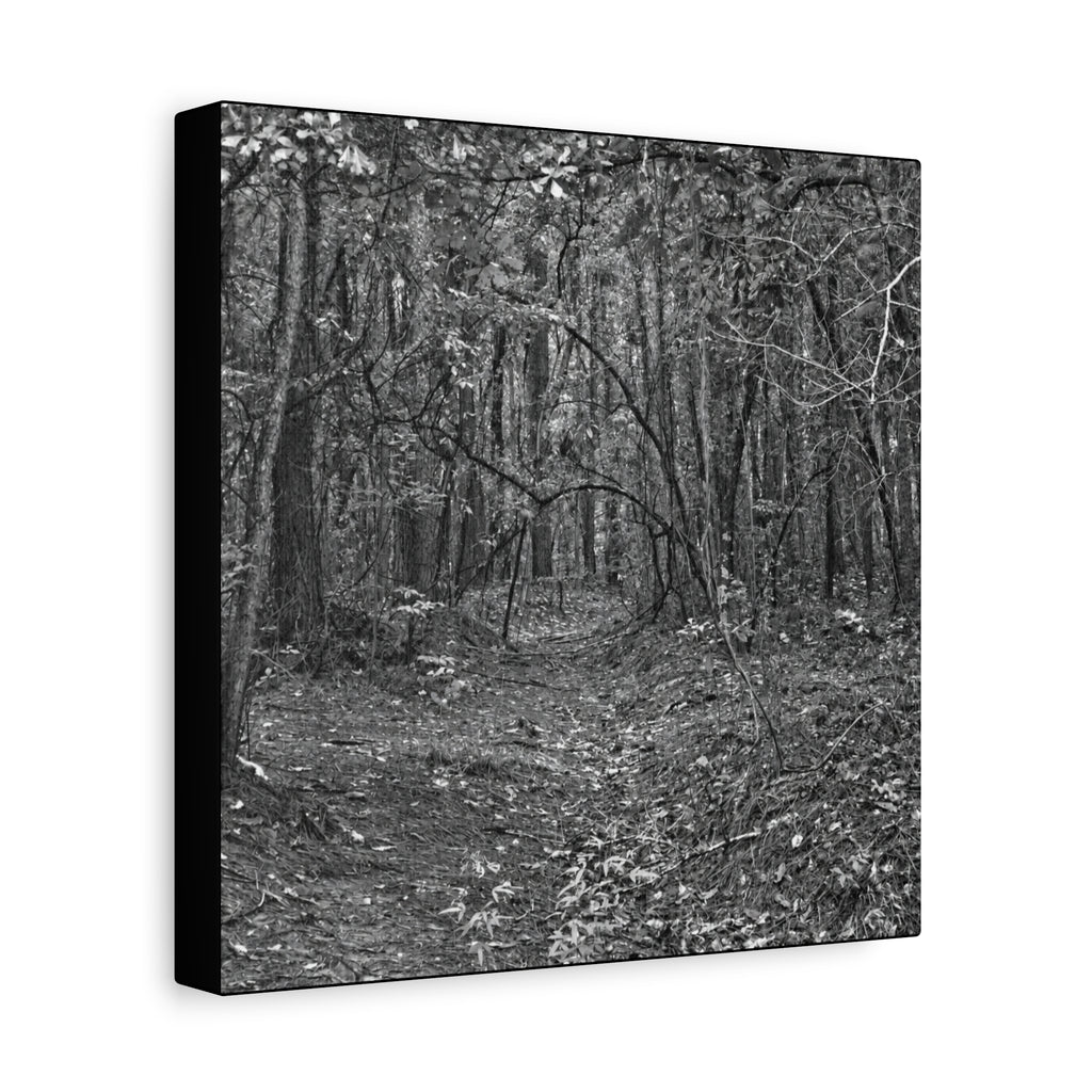 Forest Path Canvas