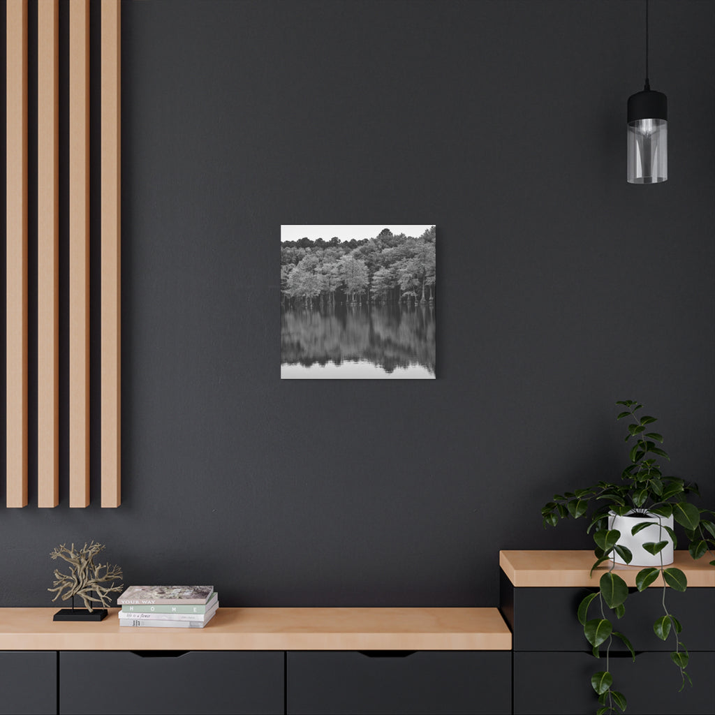 Marsh Reflection Canvas