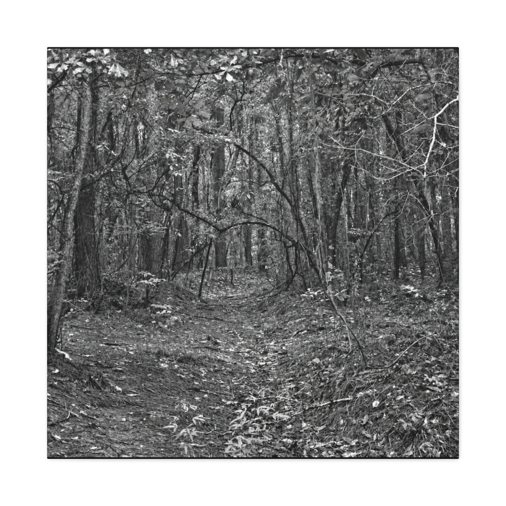 Forest Path Canvas