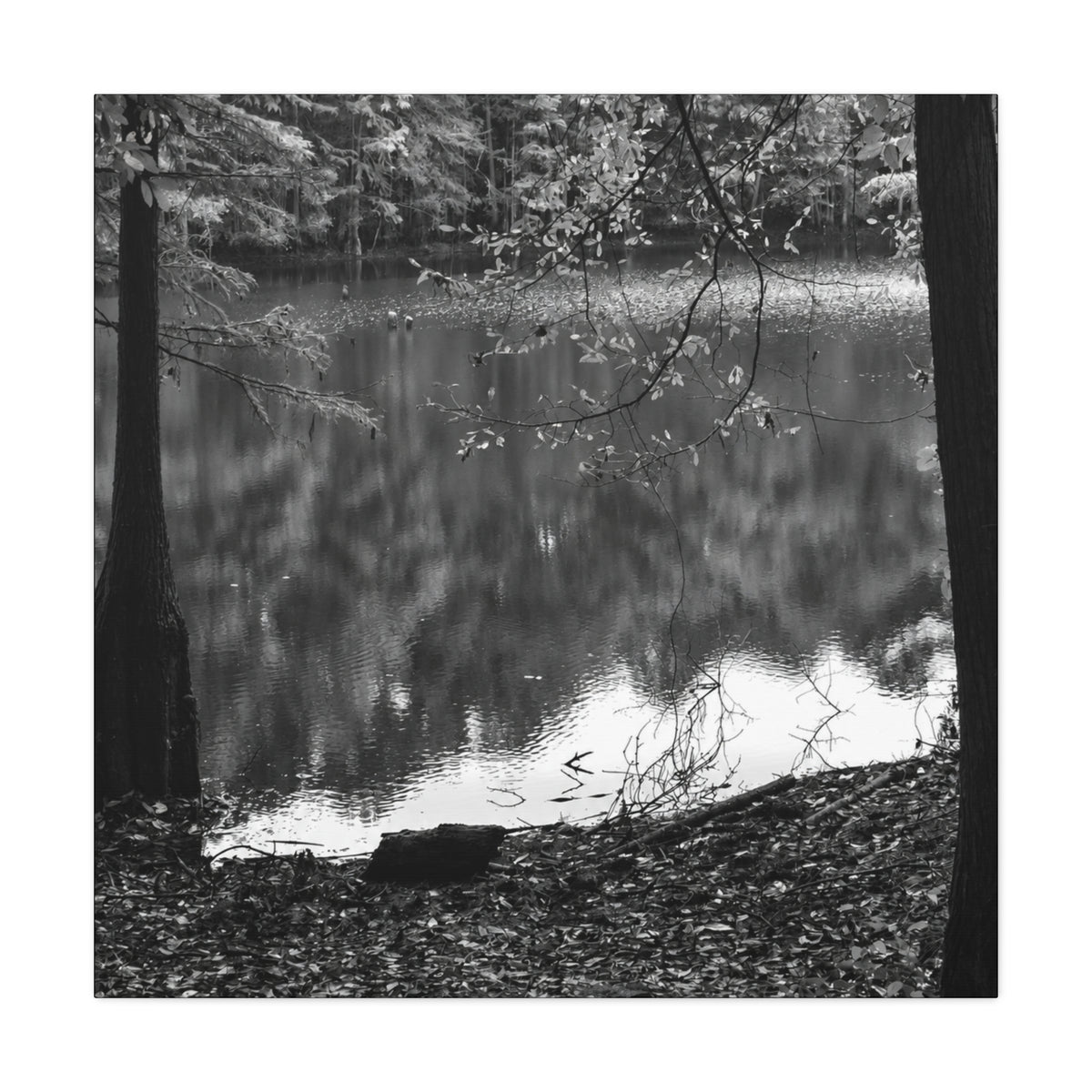 Marsh Edge 2 Canvas