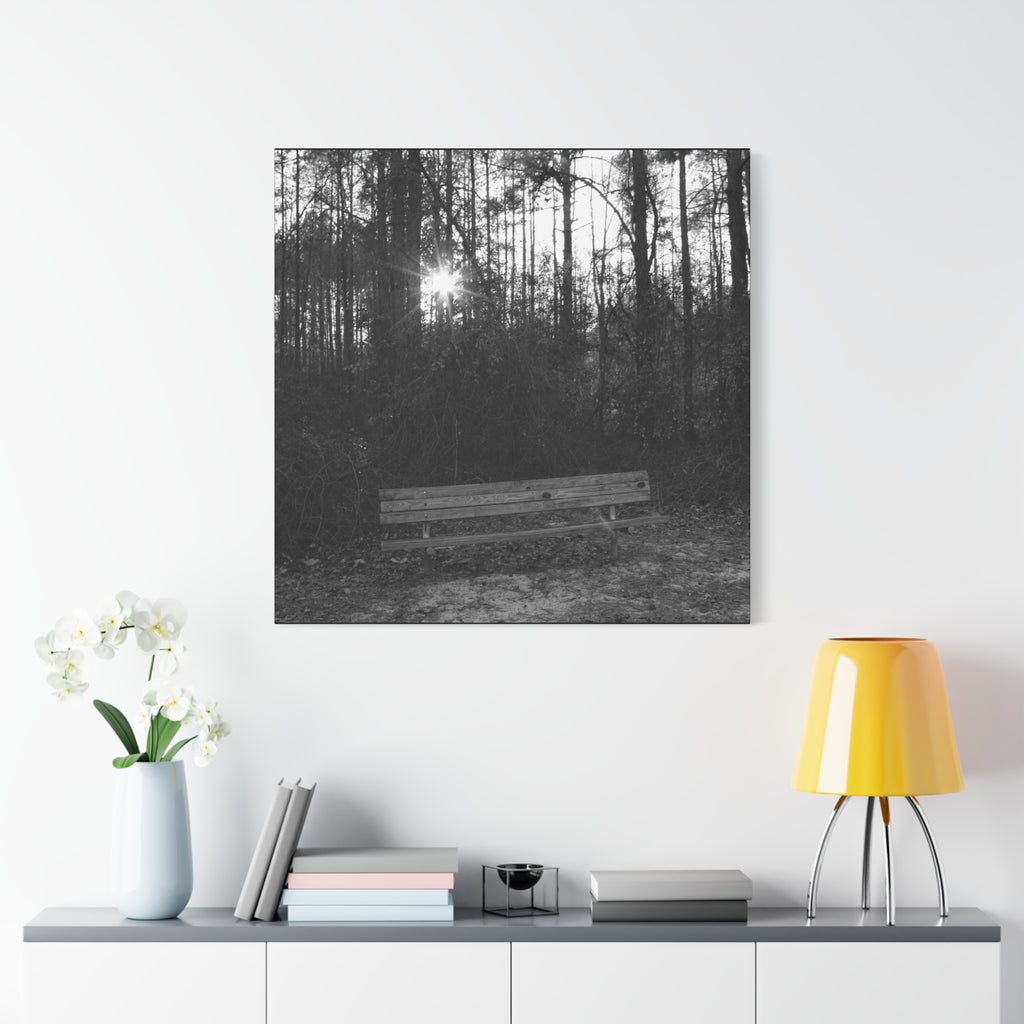 Forest Bench Canvas