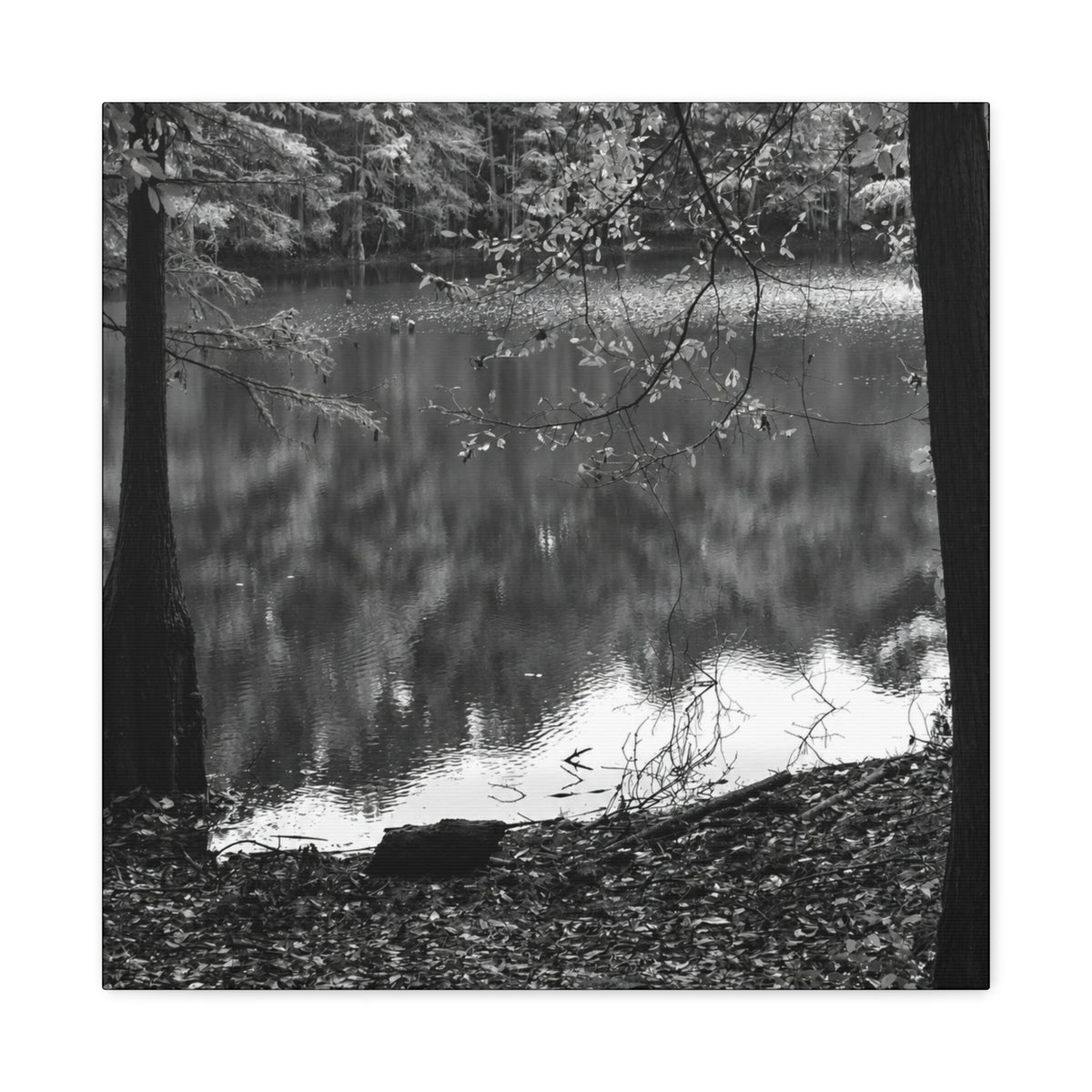 Marsh Edge 2 Canvas