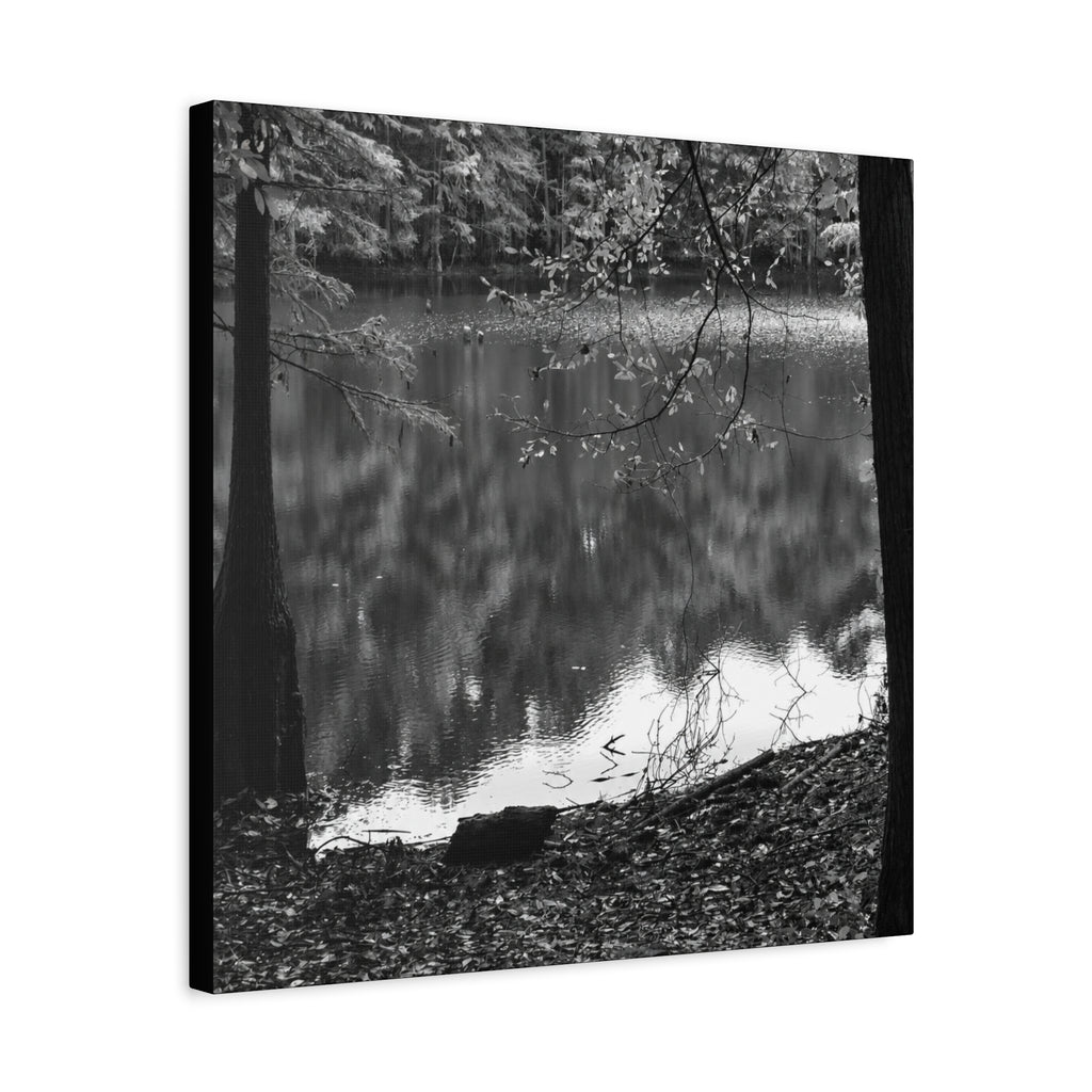 Marsh Edge 2 Canvas