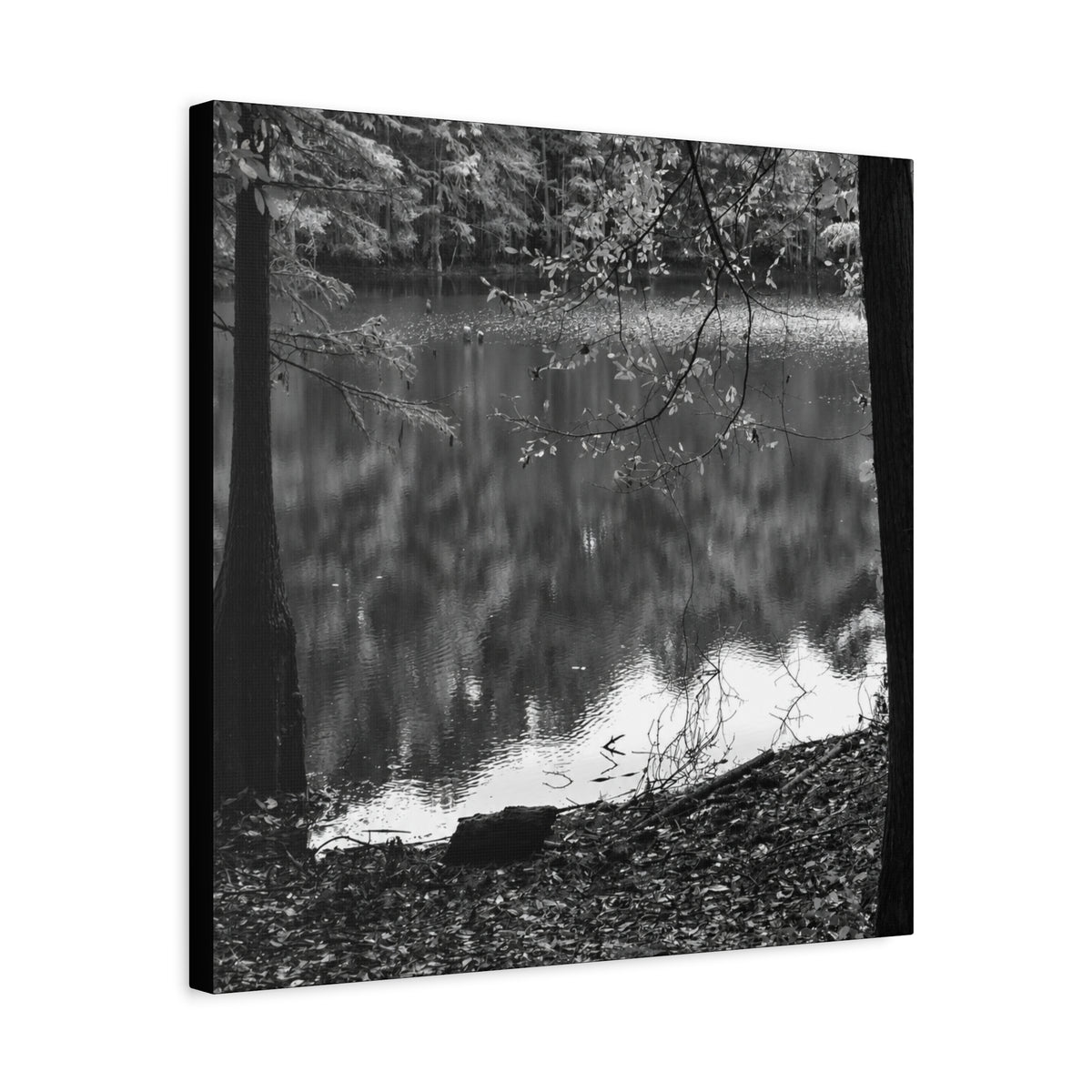 Marsh Edge 2 Canvas