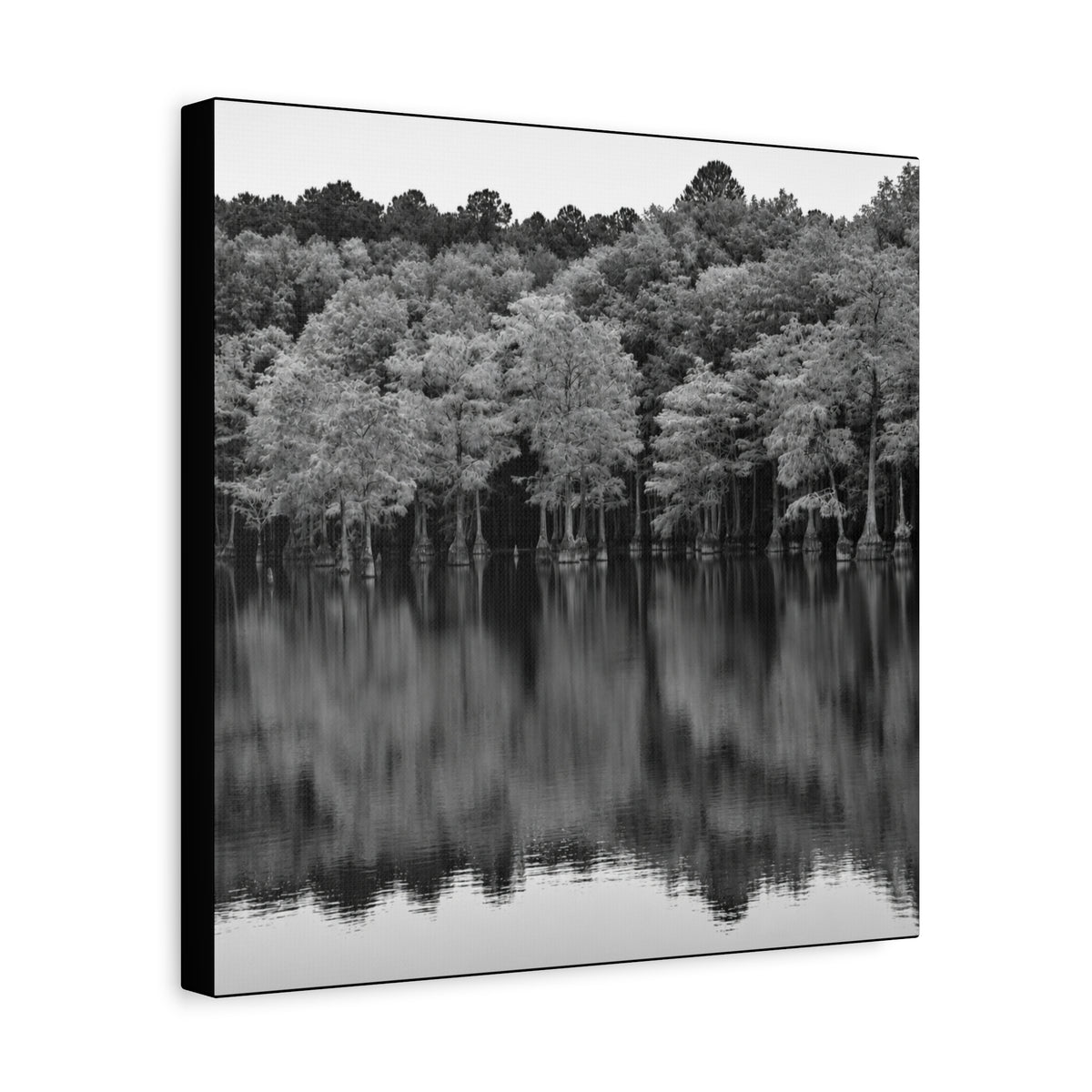Marsh Reflection Canvas