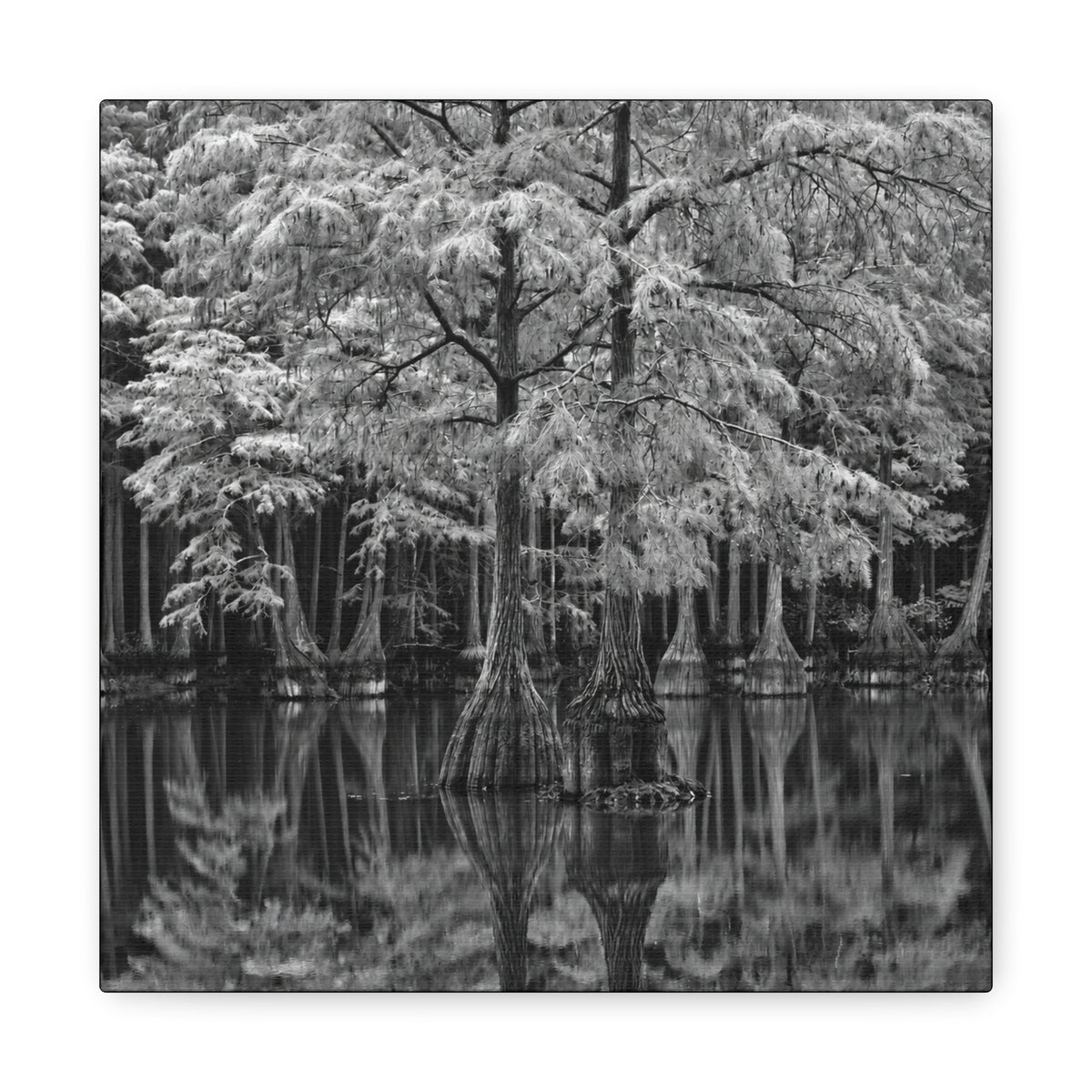 Marsh Close Up Canvas