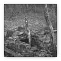 Forest Rubble Canvas