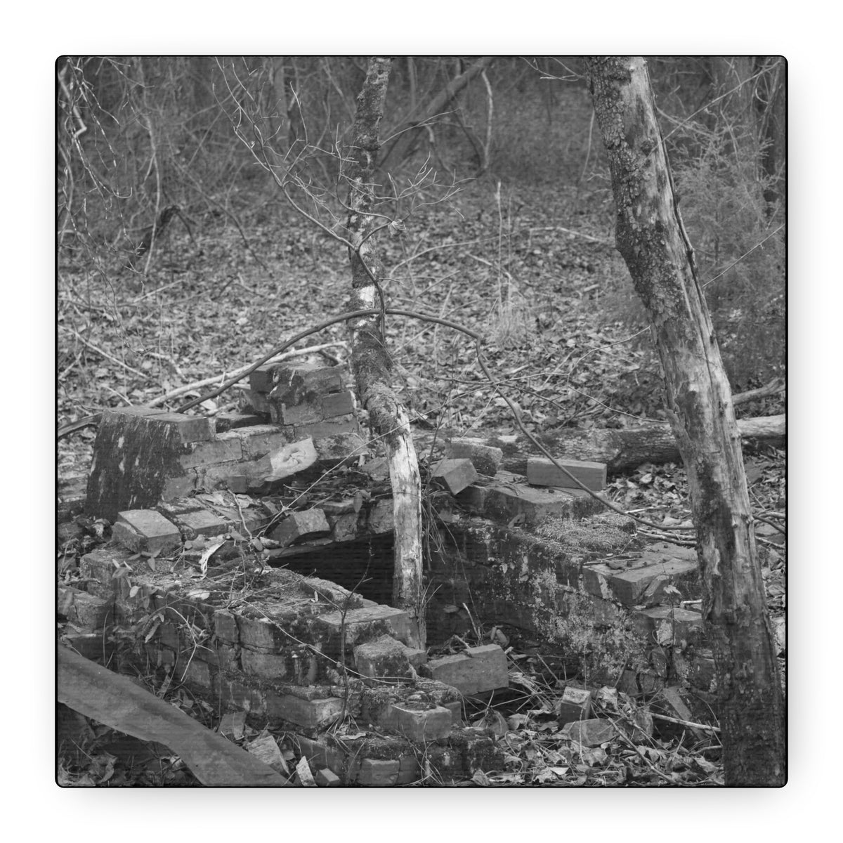 Forest Rubble Canvas