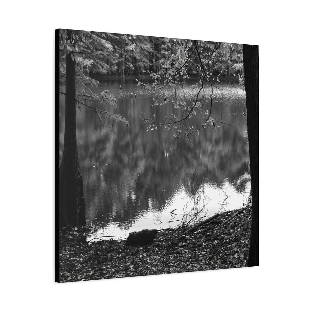 Marsh Edge 2 Canvas