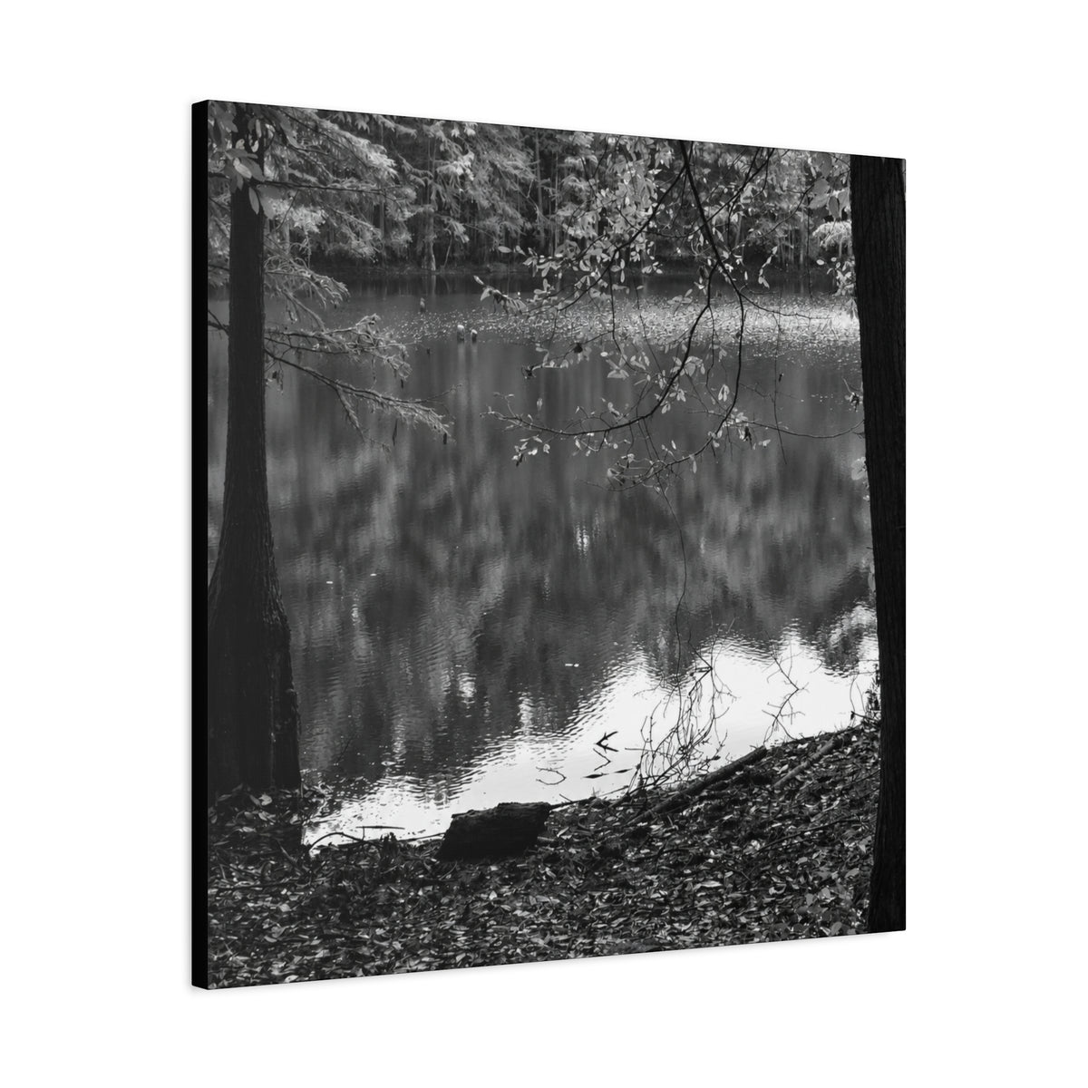 Marsh Edge 2 Canvas