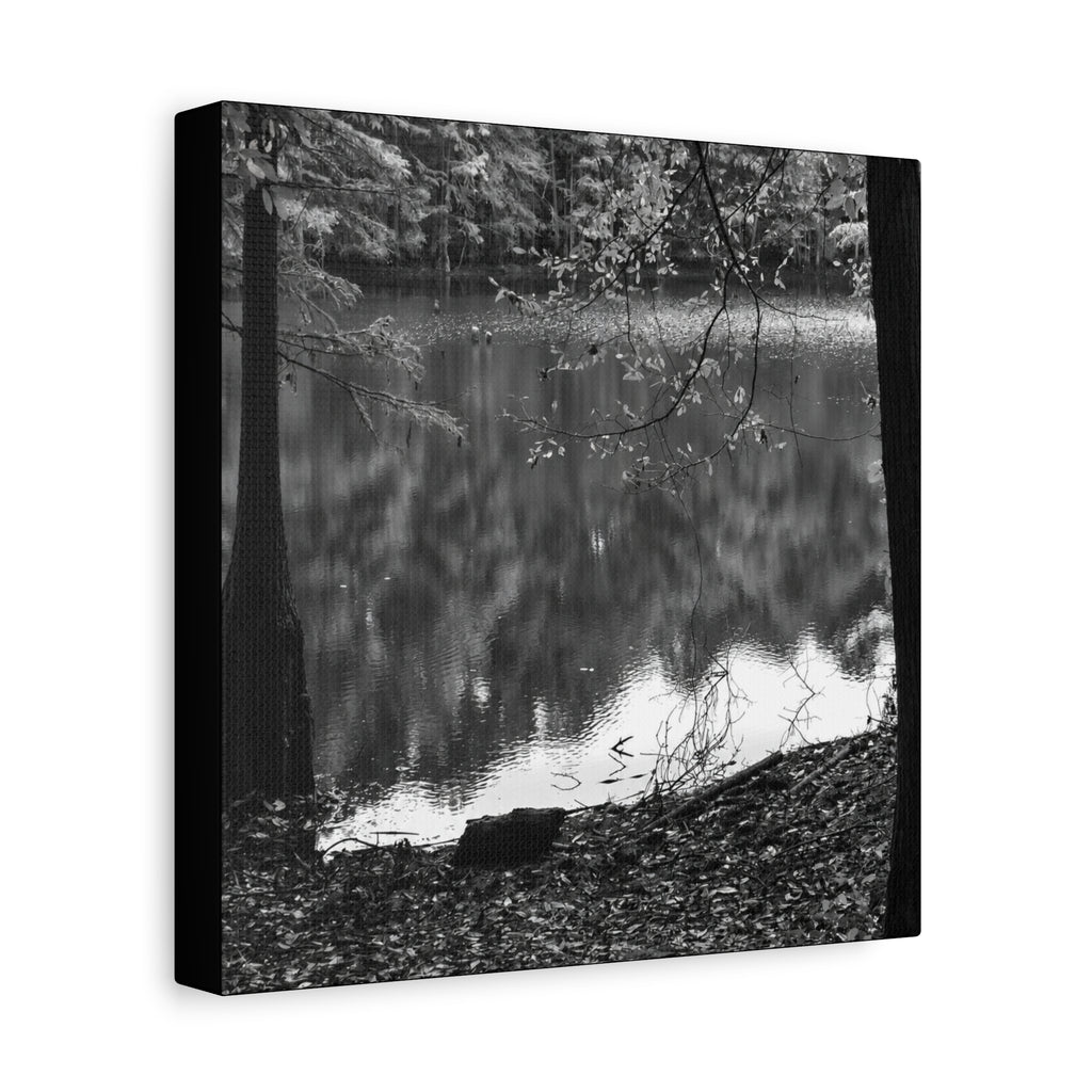 Marsh Edge 2 Canvas