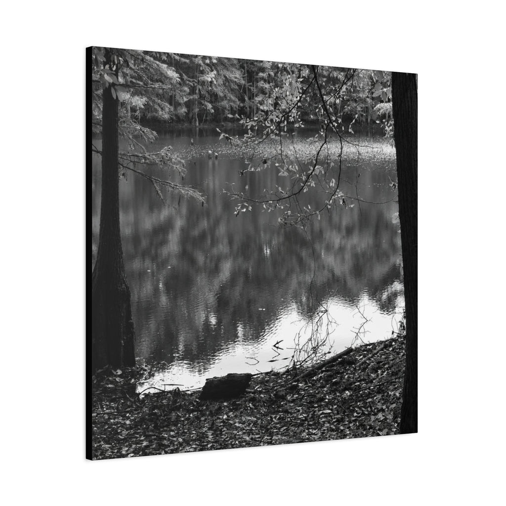 Marsh Edge 2 Canvas