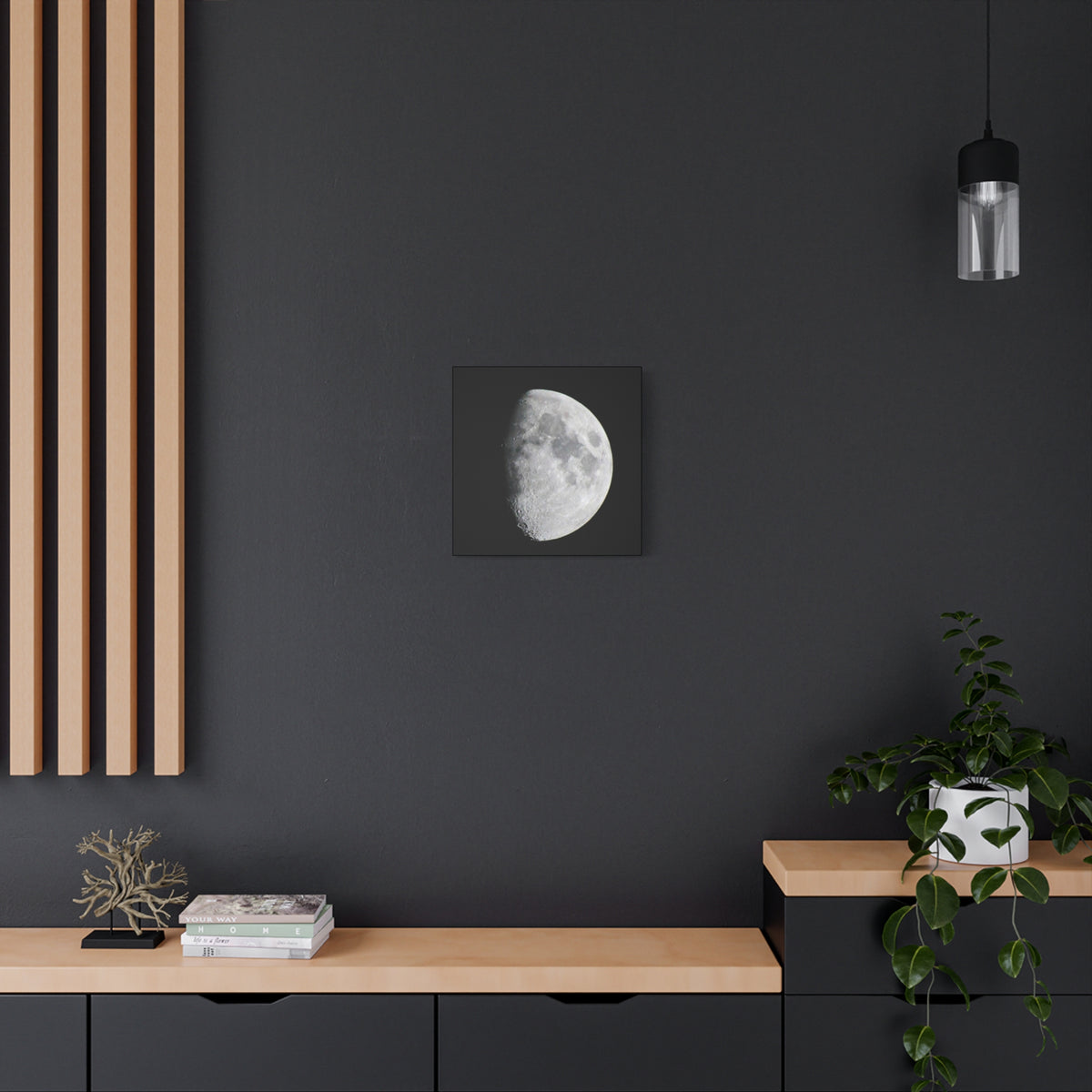 Moon Canvas