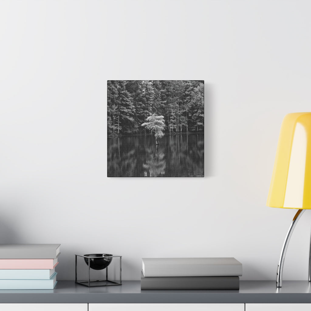 Marsh Solitary Tree Canvas