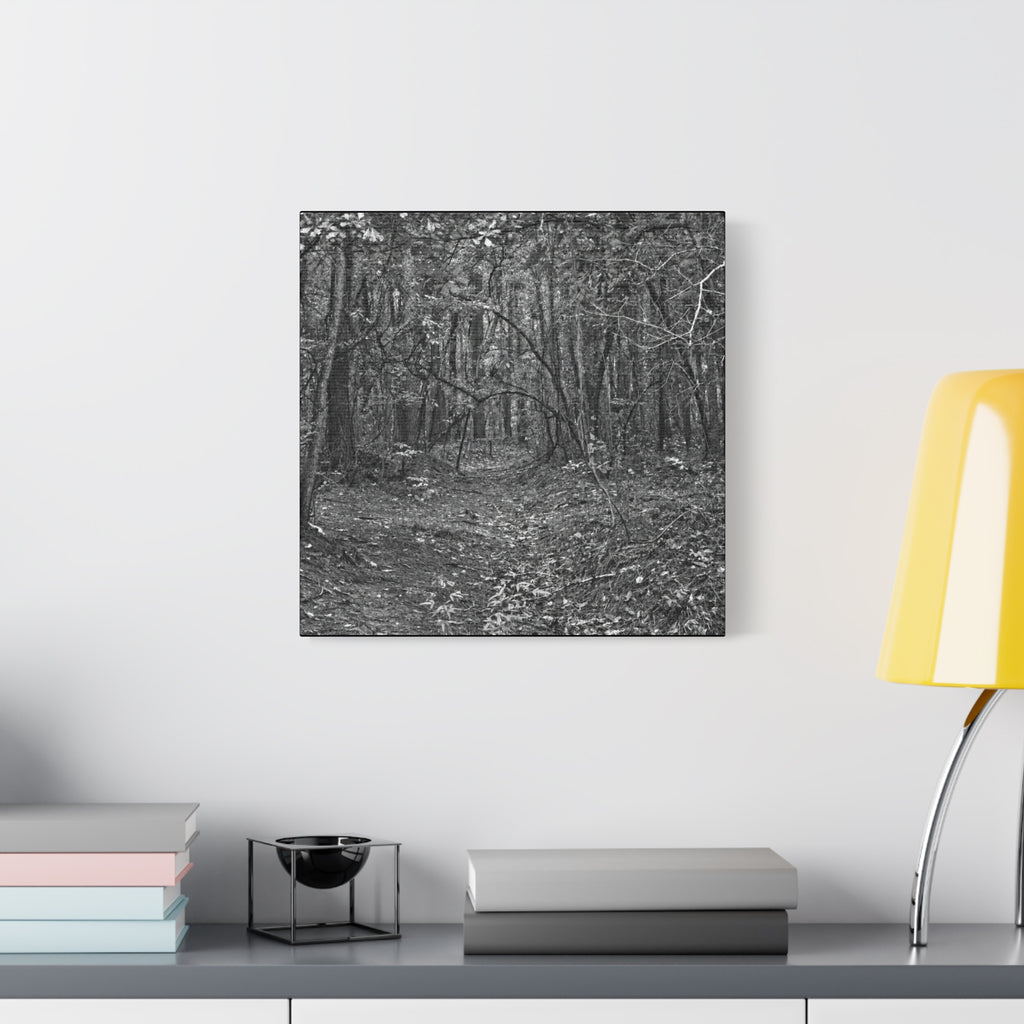 Forest Path Canvas