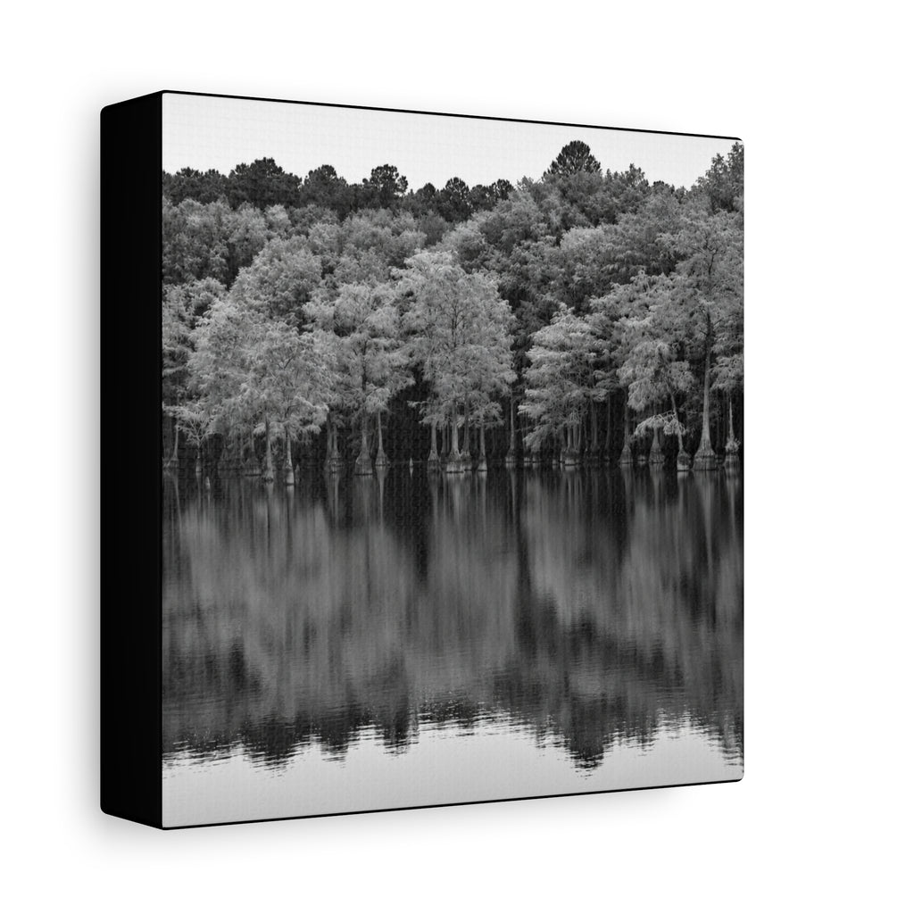 Marsh Reflection Canvas