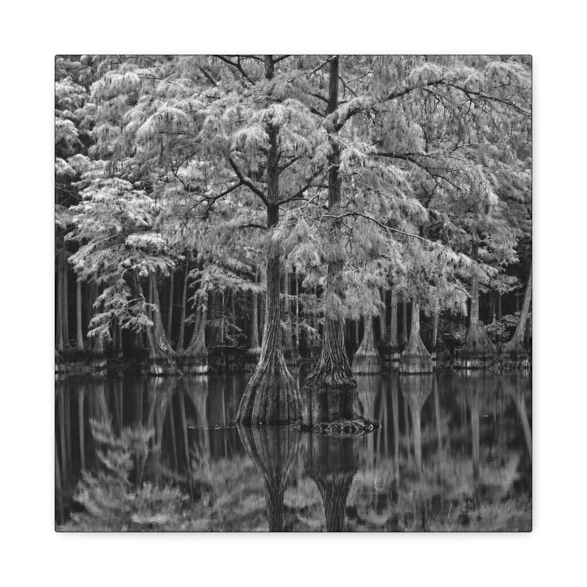 Marsh Close Up Canvas