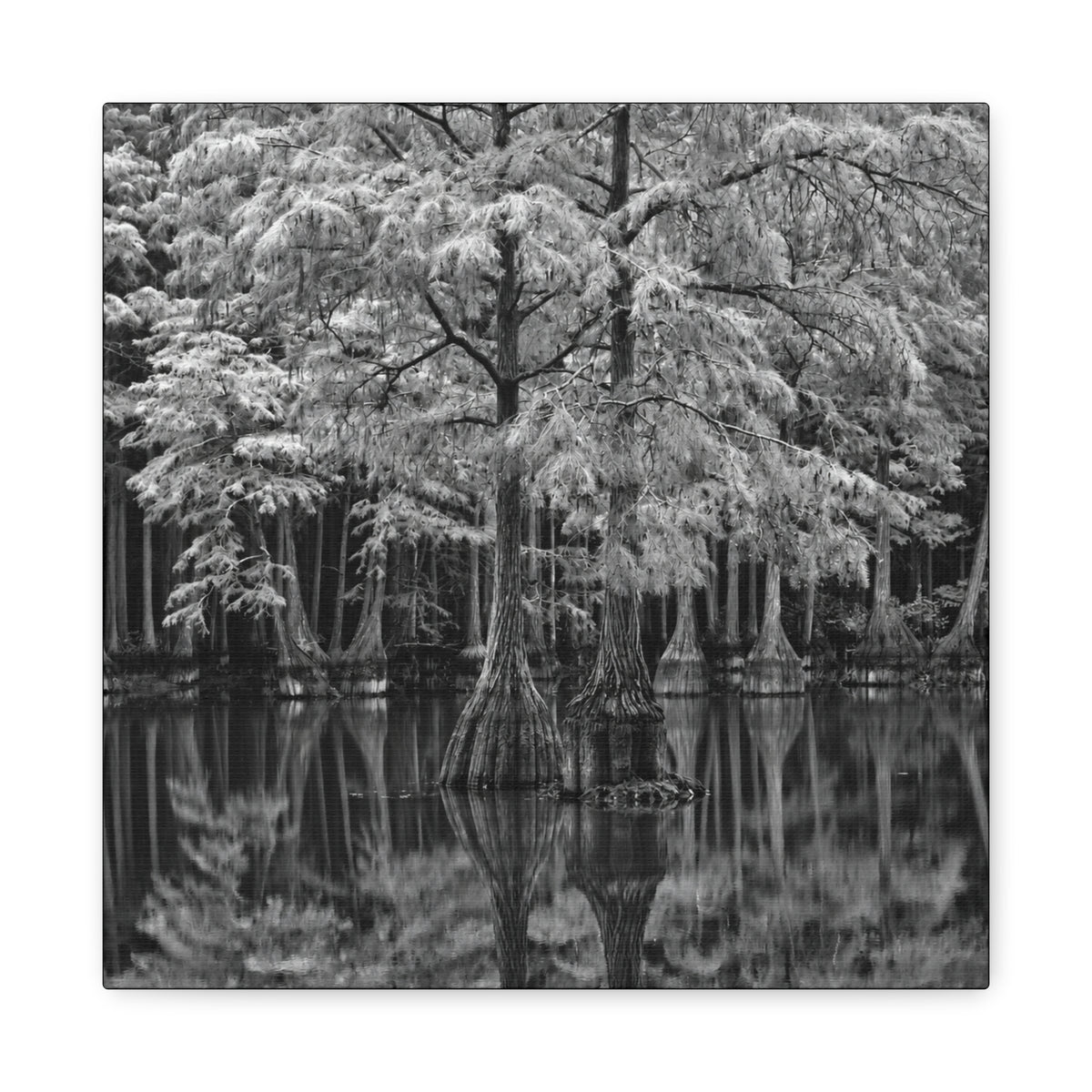 Marsh Close Up Canvas