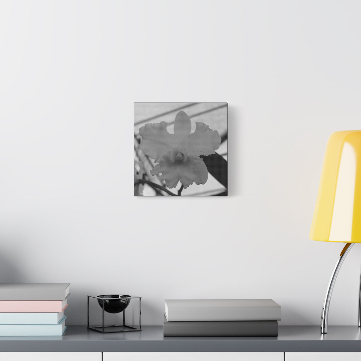 Orchid Canvas 6