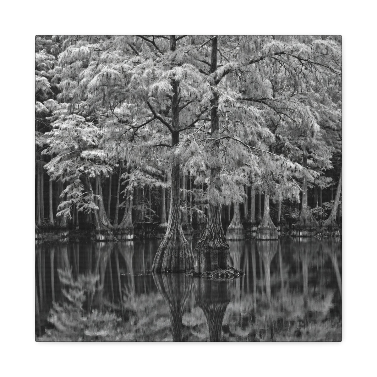 Marsh Close Up Canvas