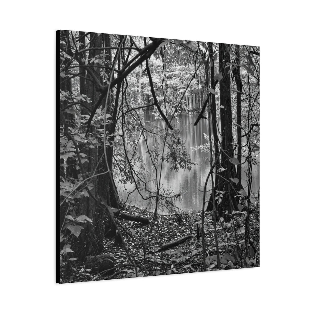 Marsh Edge 1 Canvas