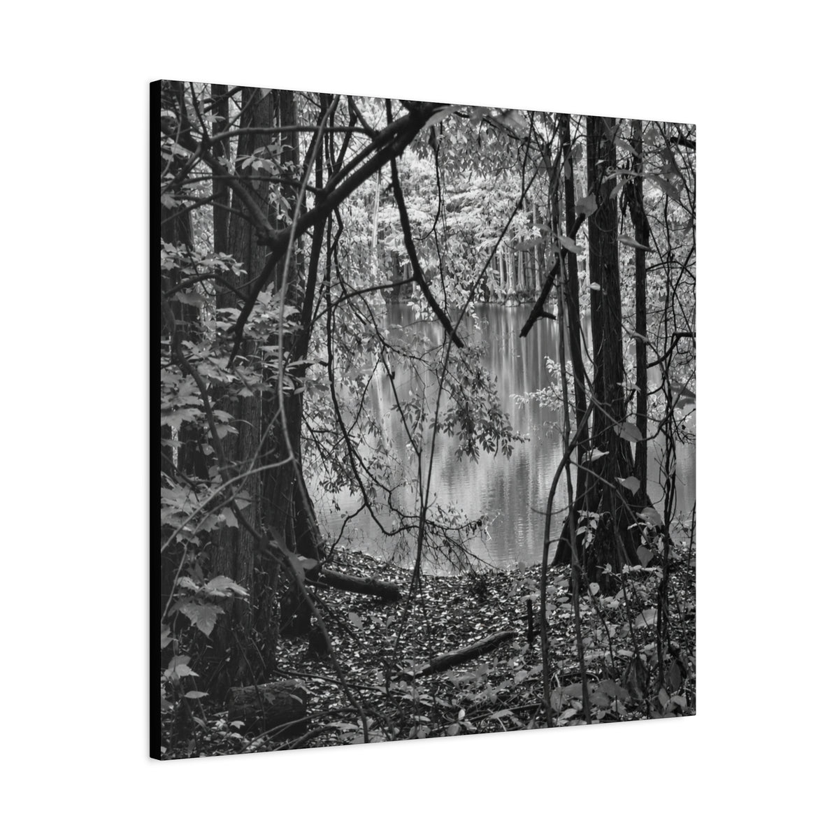 Marsh Edge 1 Canvas