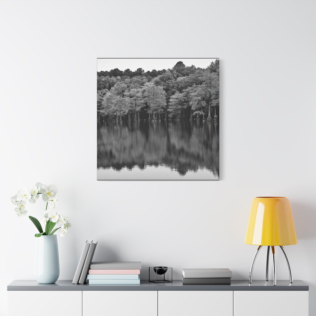 Marsh Reflection Canvas