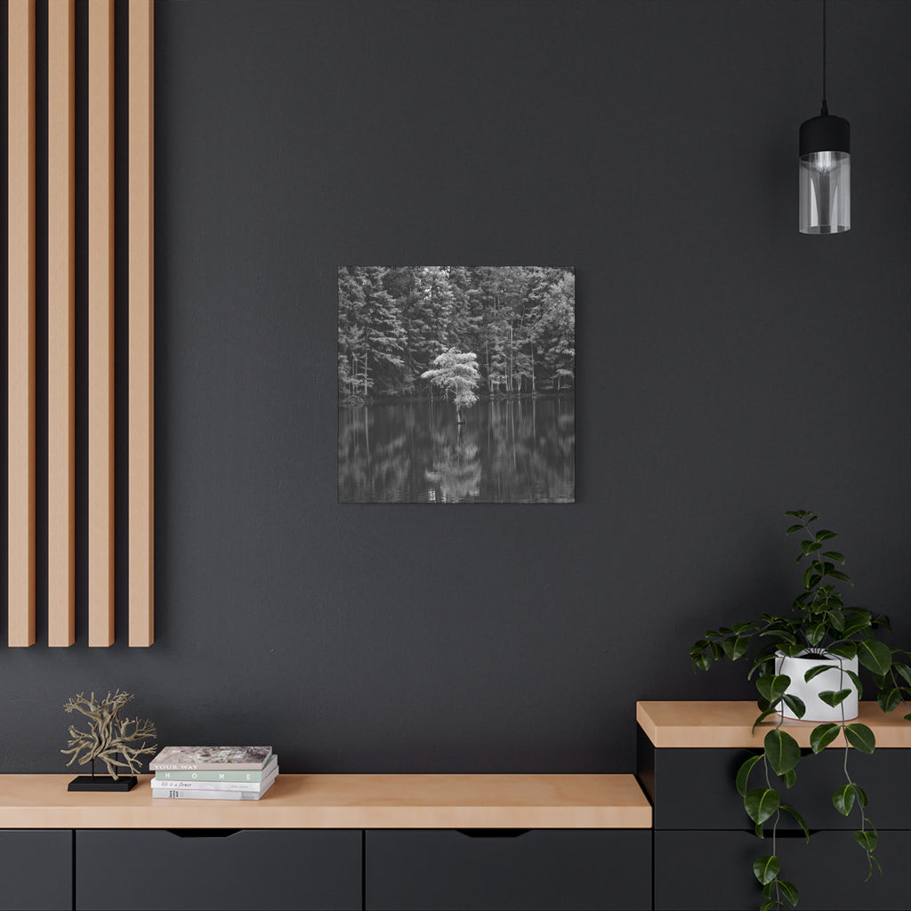 Marsh Solitary Tree Canvas
