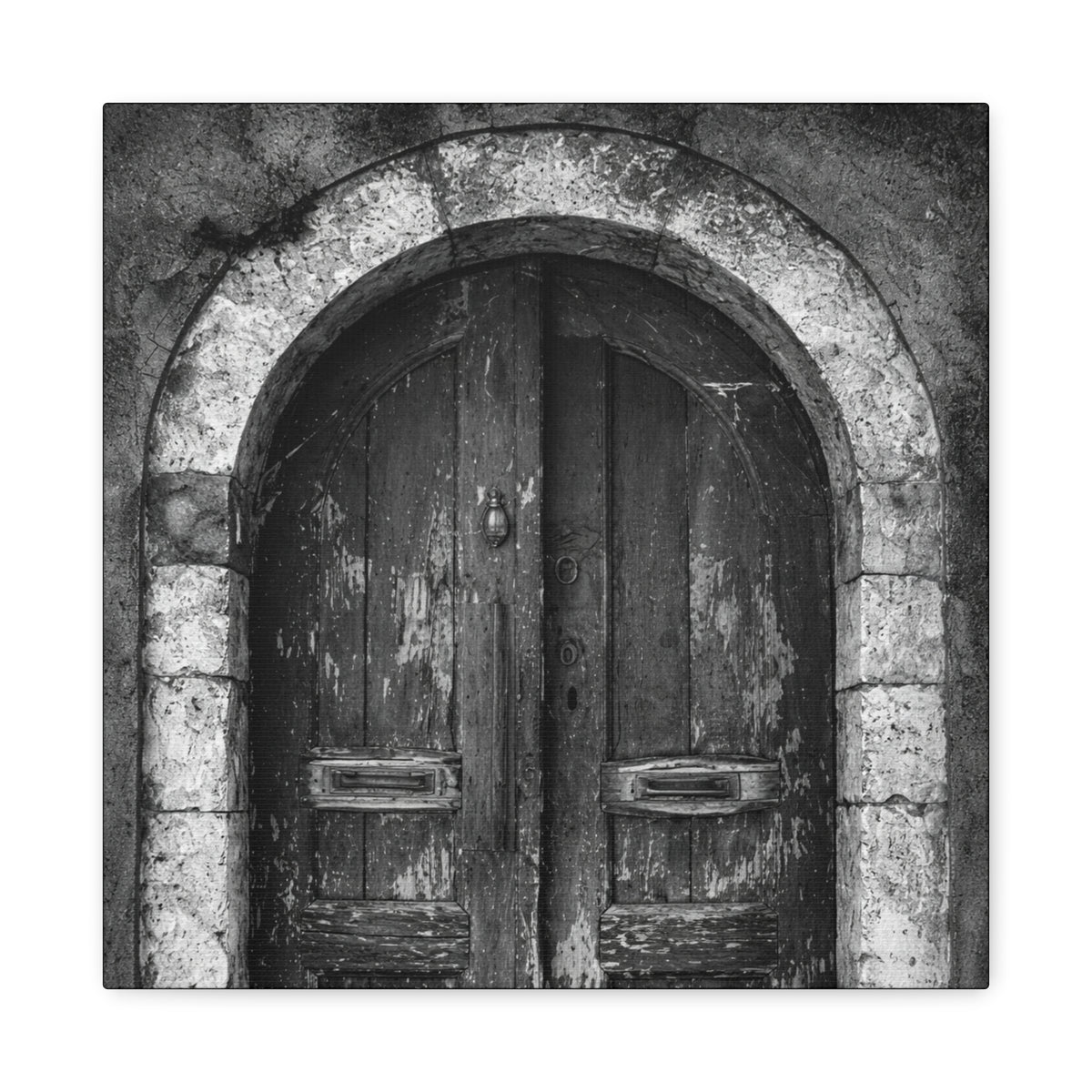 Old Wooden Door Canvas