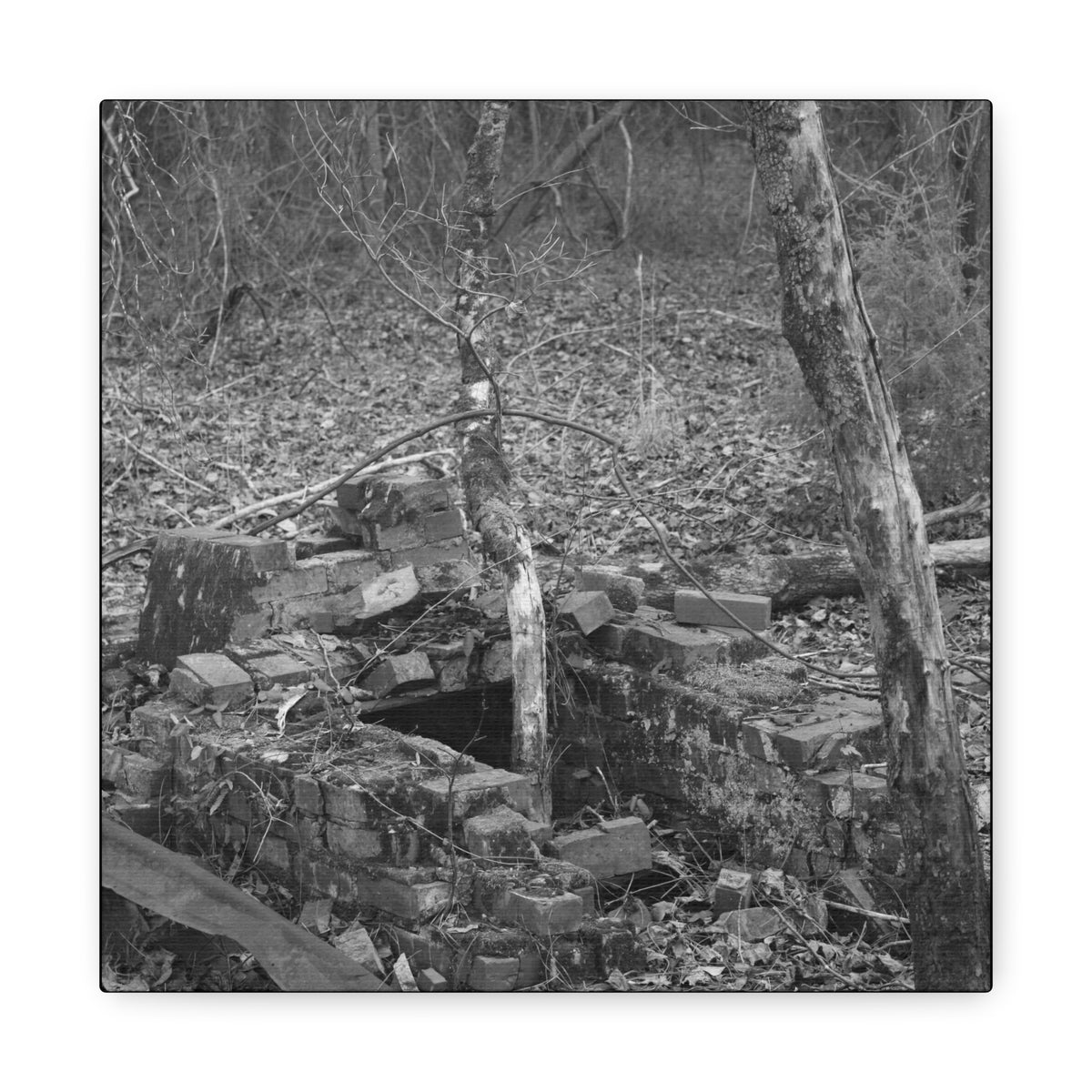 Forest Rubble Canvas