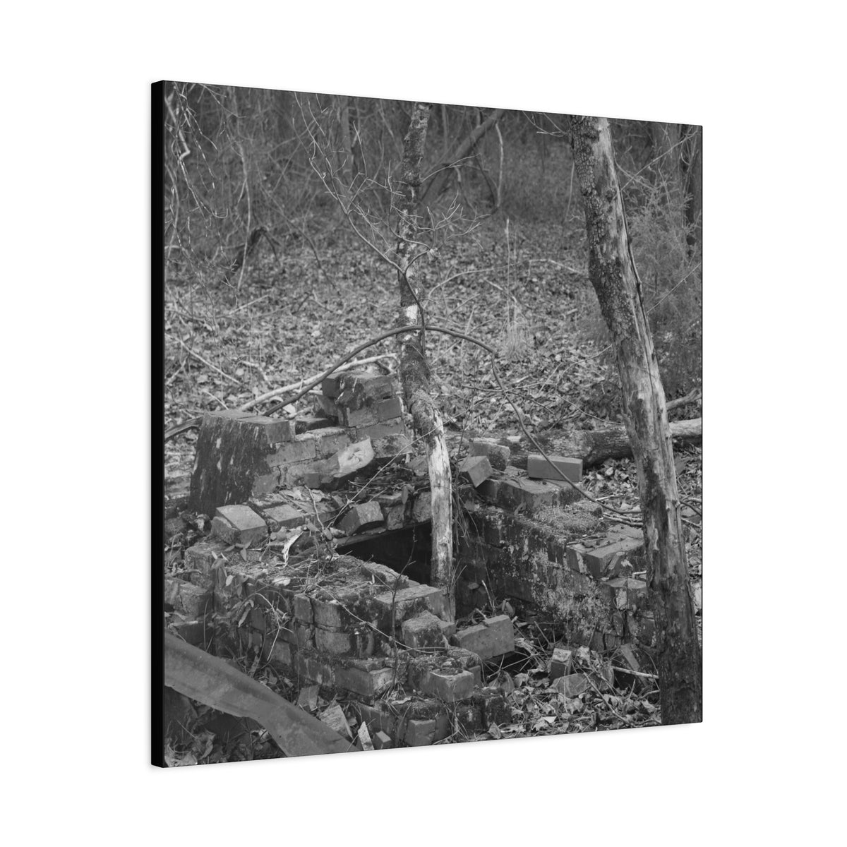 Forest Rubble Canvas