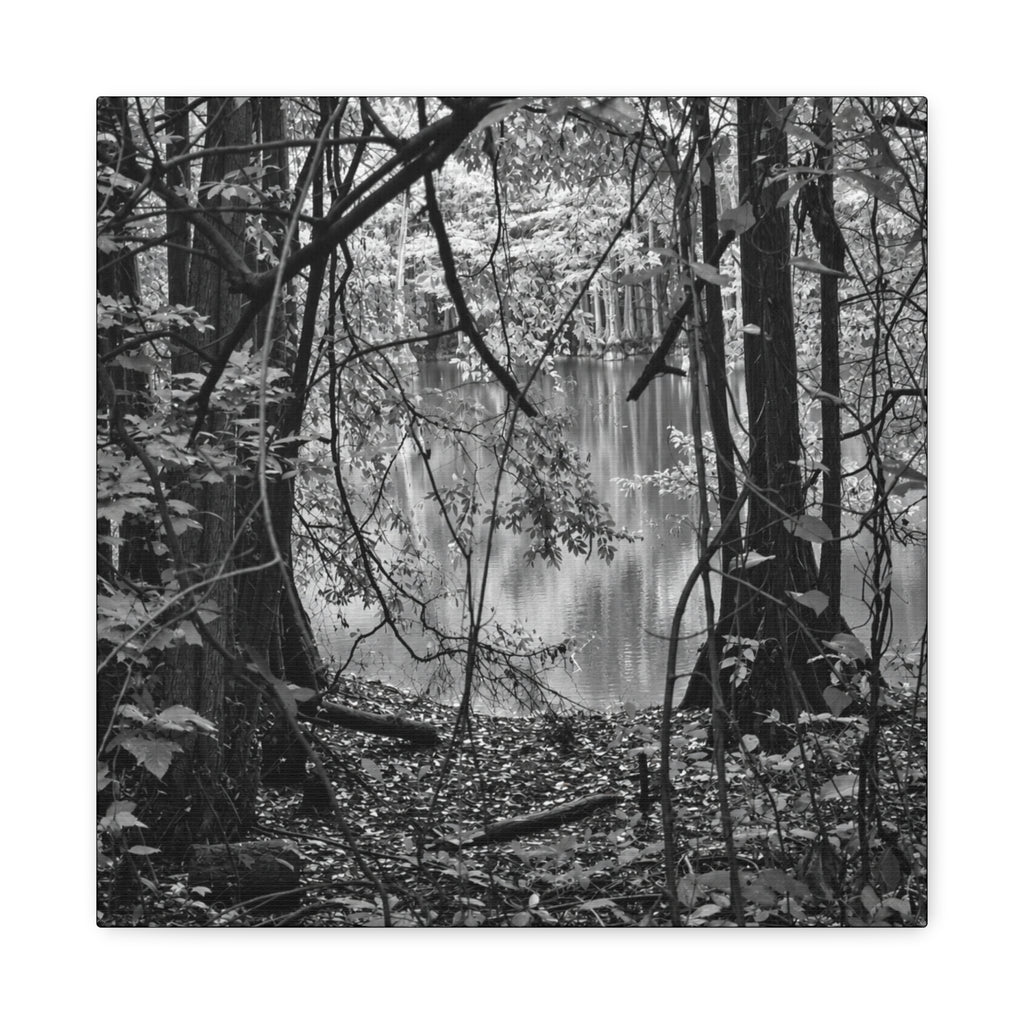 Marsh Edge 1 Canvas