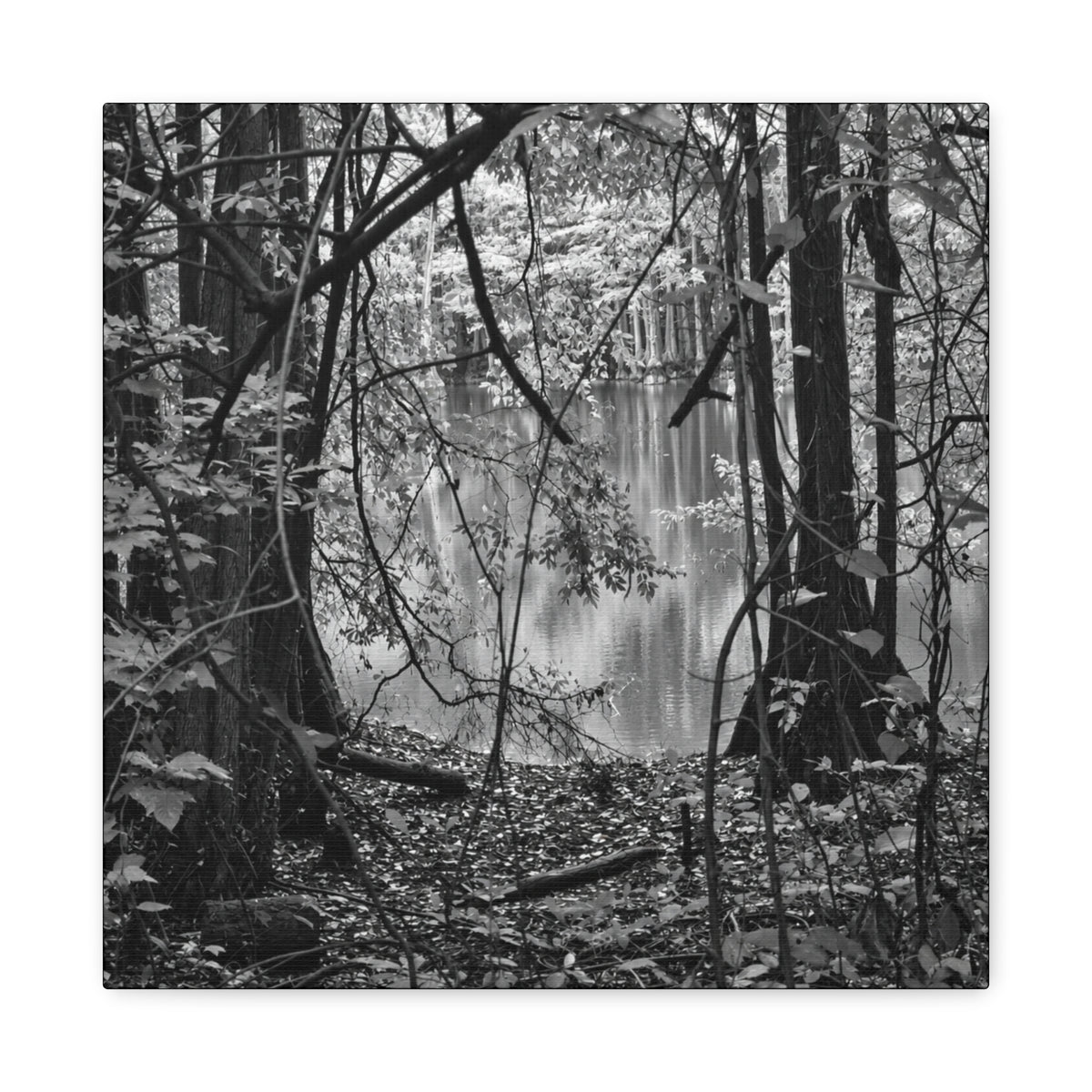 Marsh Edge 1 Canvas