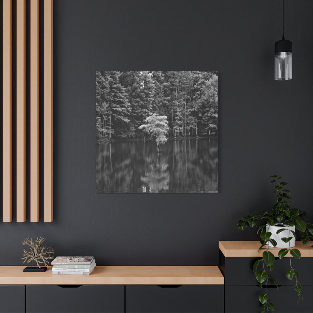 Marsh Solitary Tree Canvas