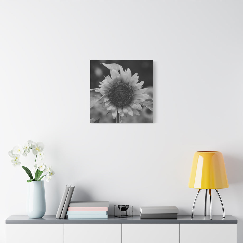 Sunflower Canvas