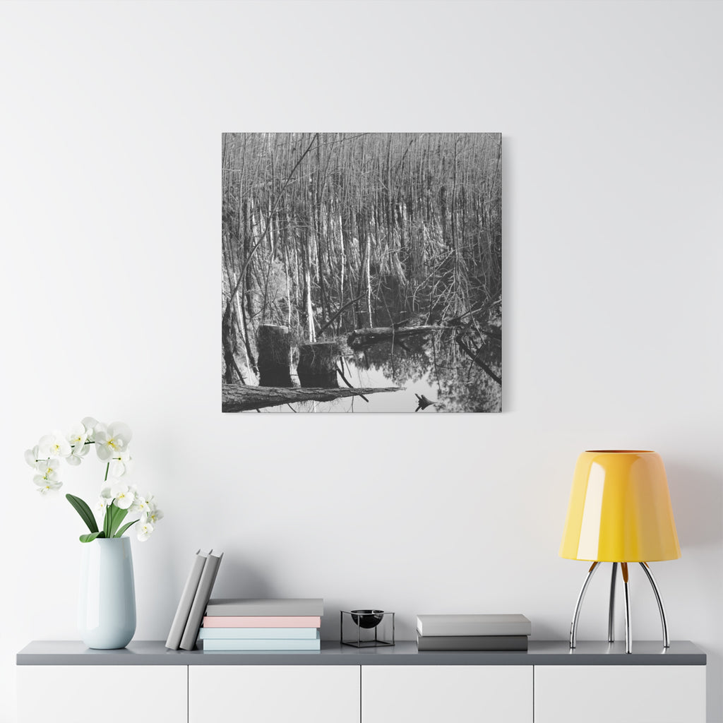 Marsh Stumps Canvas