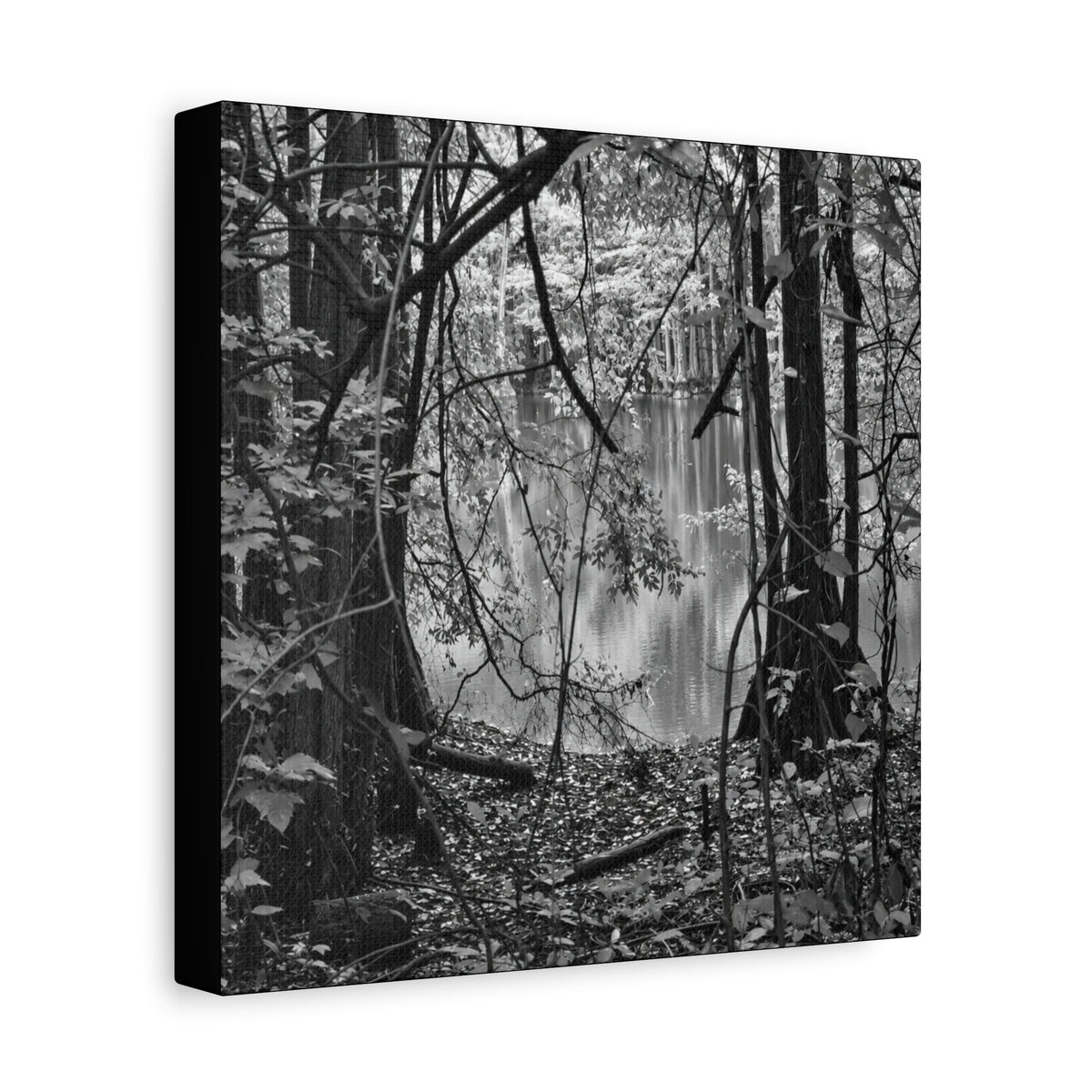 Marsh Edge 1 Canvas