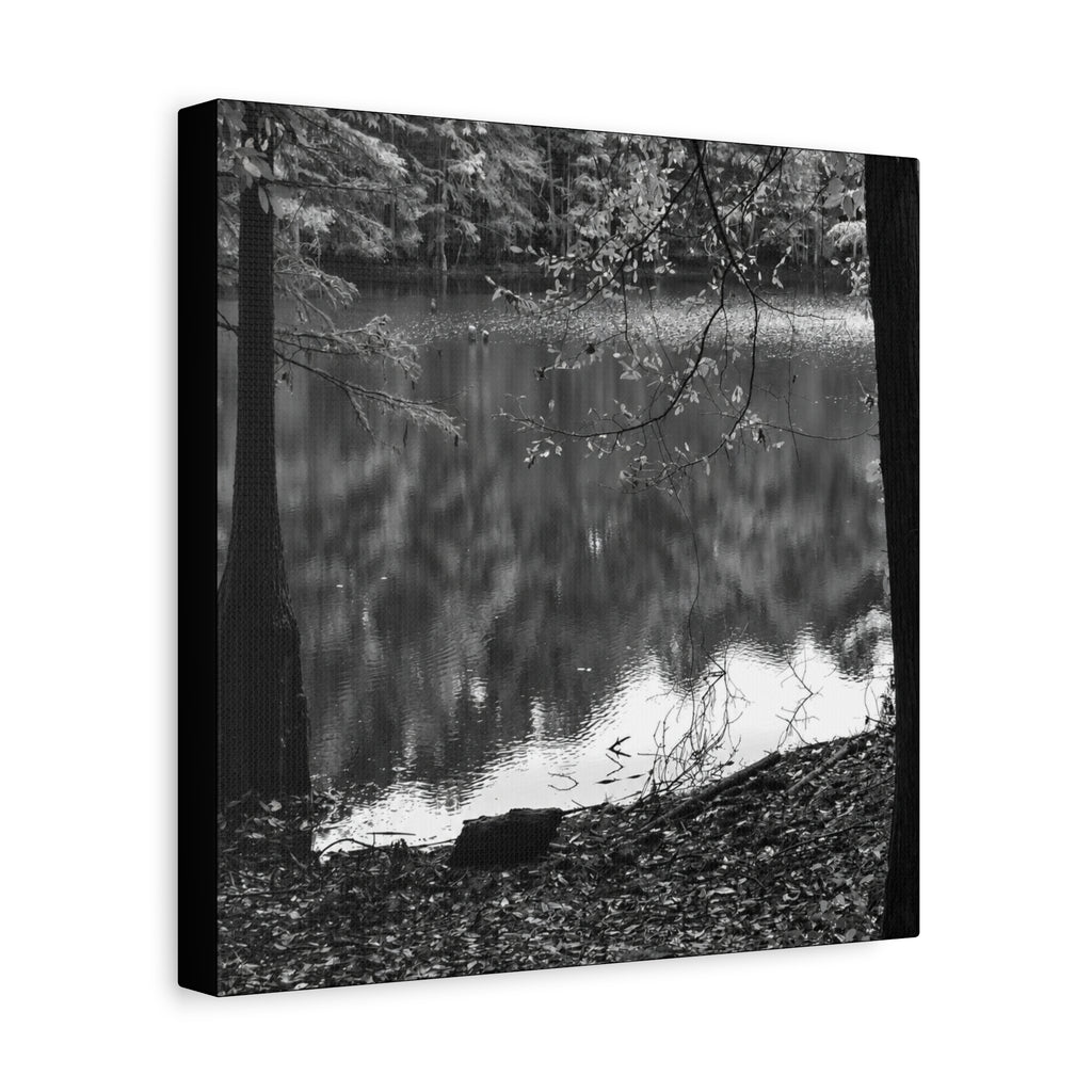 Marsh Edge 2 Canvas