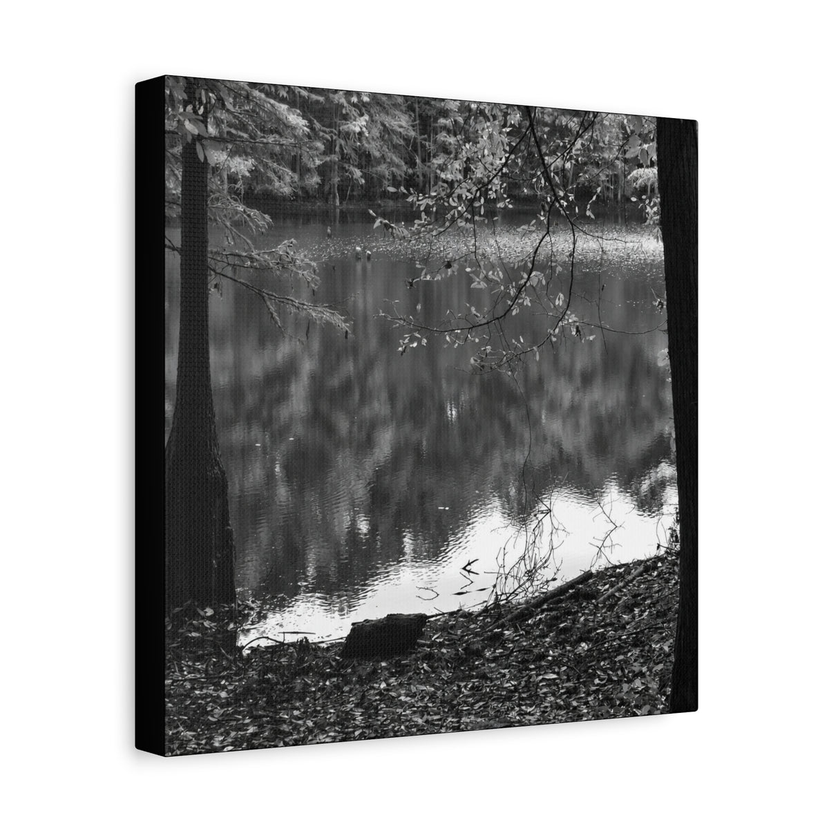Marsh Edge 2 Canvas