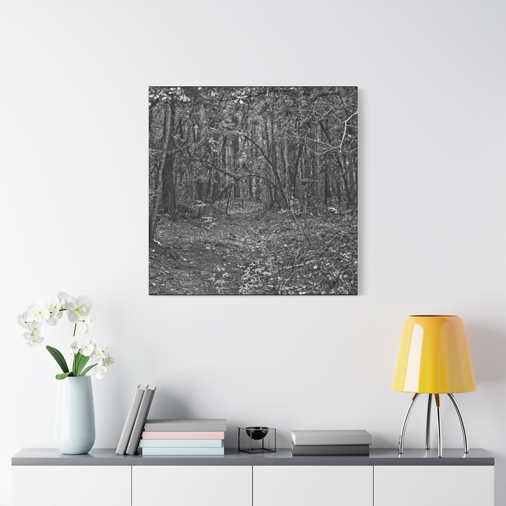 Forest Path Canvas