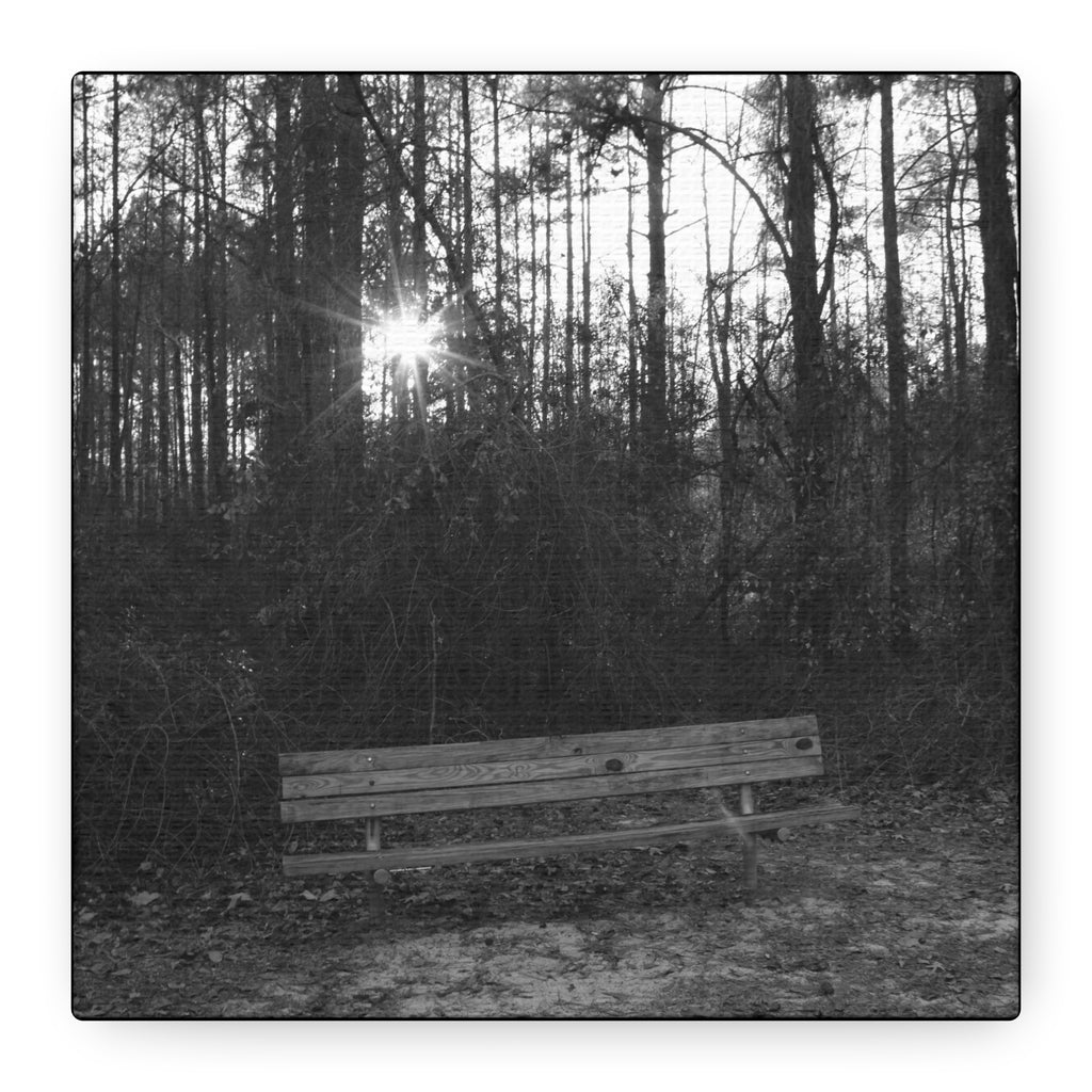 Forest Bench Canvas