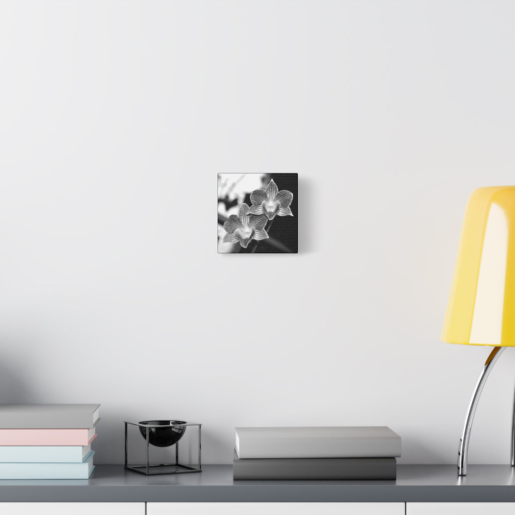 Orchid Pair Canvas 2