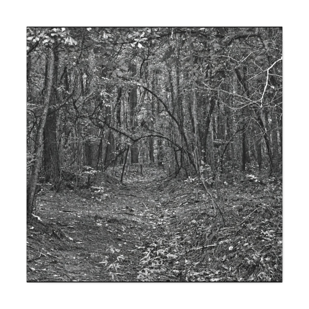 Forest Path Canvas