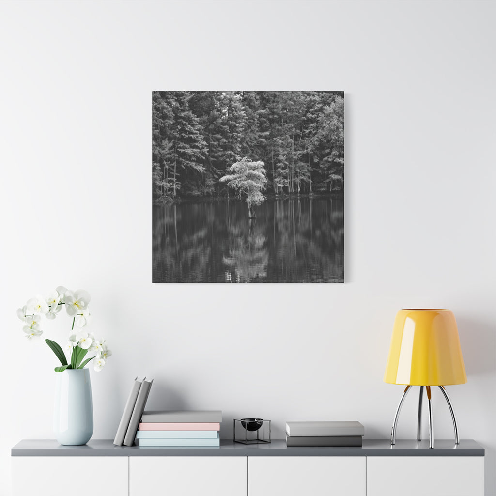 Marsh Solitary Tree Canvas