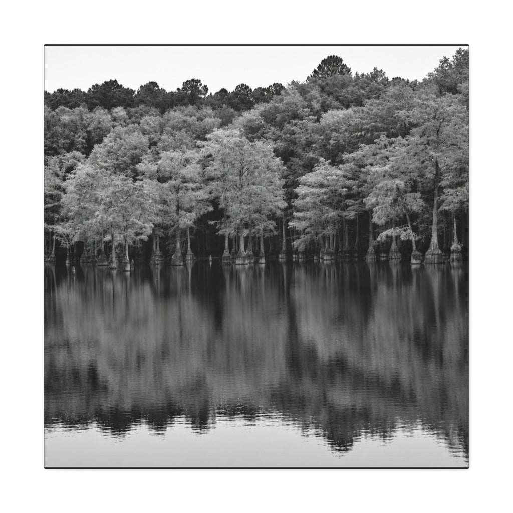 Marsh Reflection Canvas
