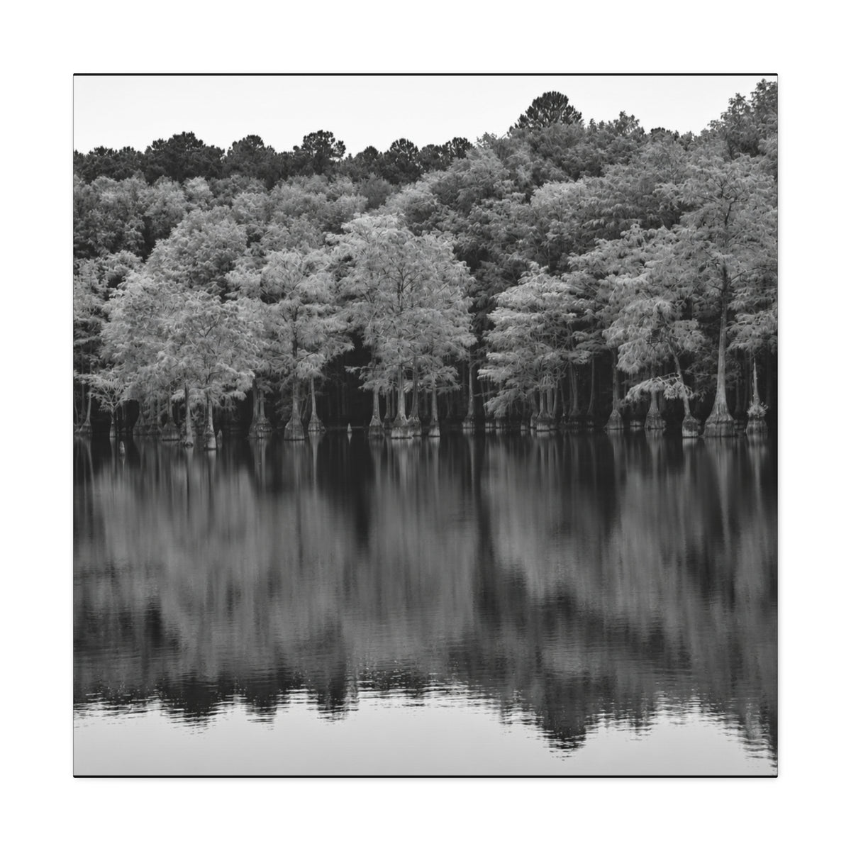 Marsh Reflection Canvas