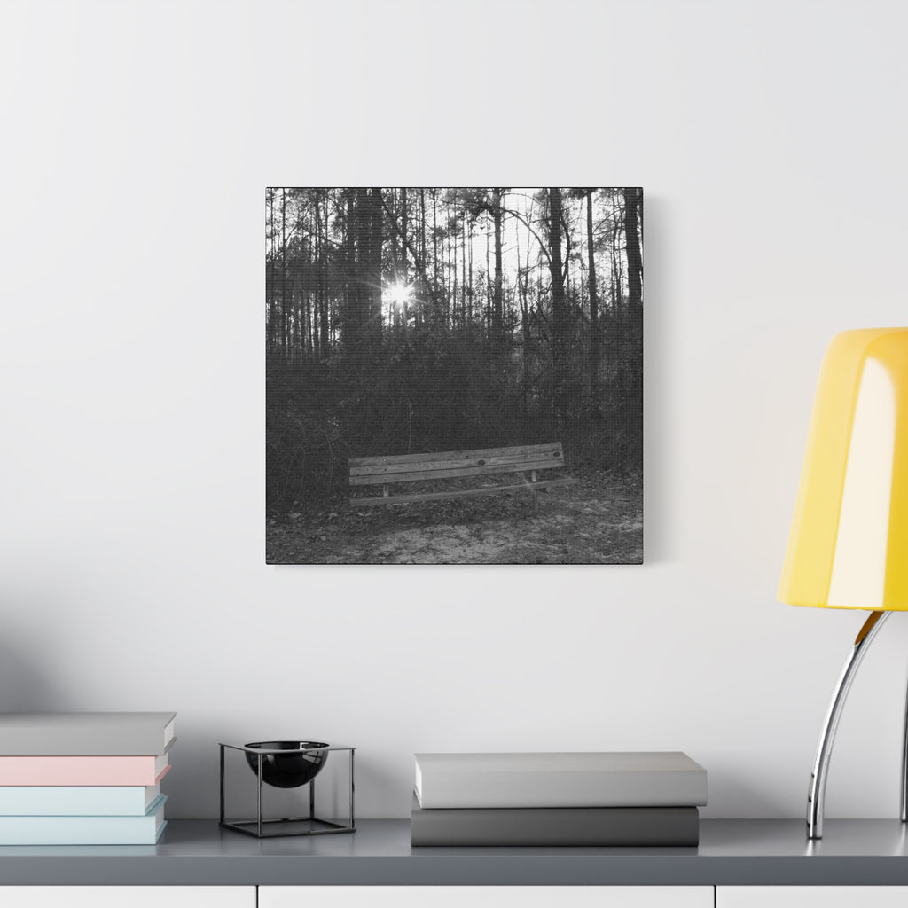 Forest Bench Canvas