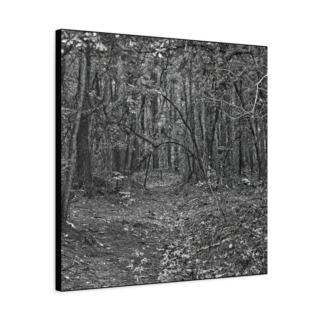 Forest Path Canvas